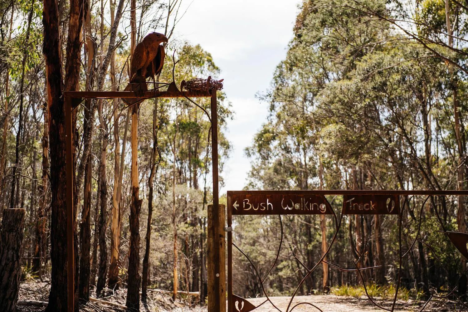 Hiking in Freycinet Resort