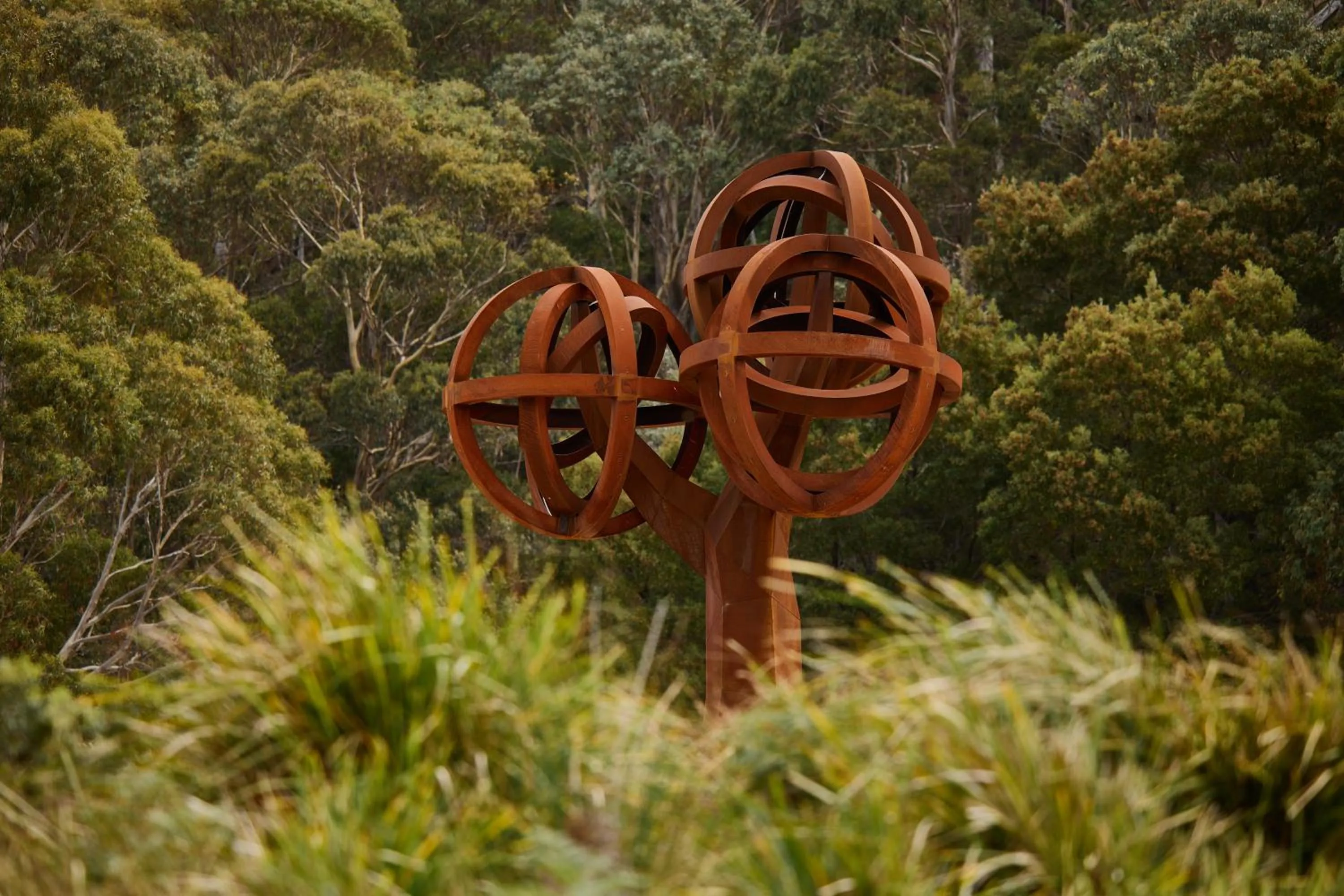 Garden in Freycinet Resort