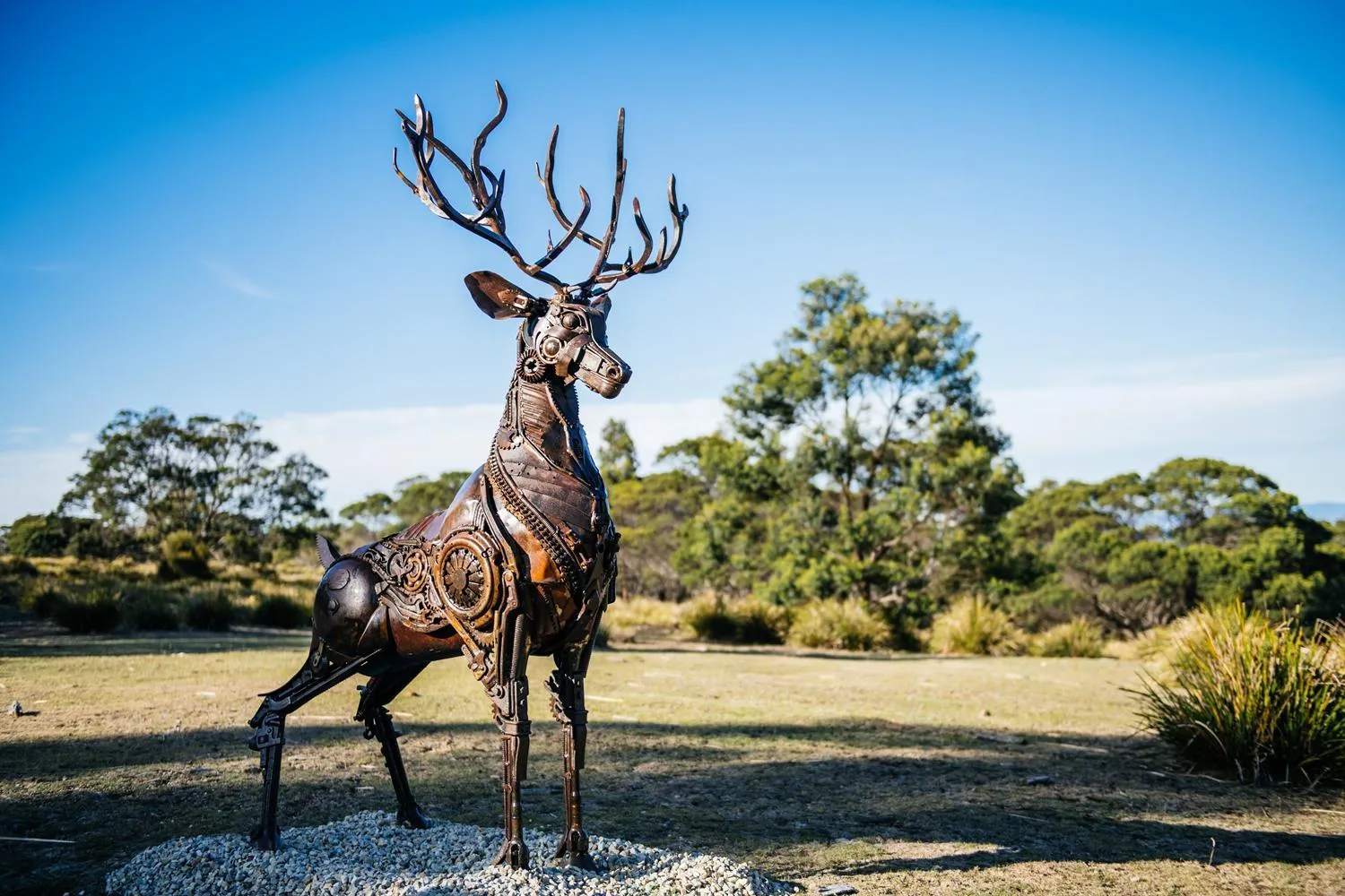 Garden in Freycinet Resort