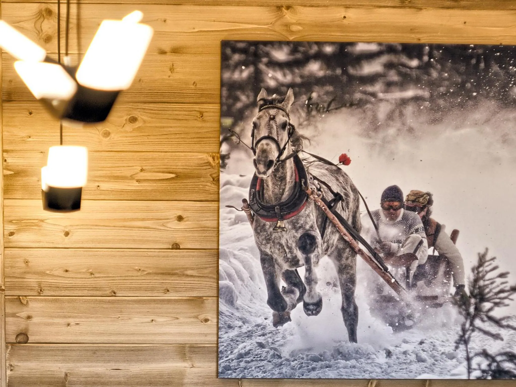 Horse-riding in VisitZakopane - Tatra Ski Apartment