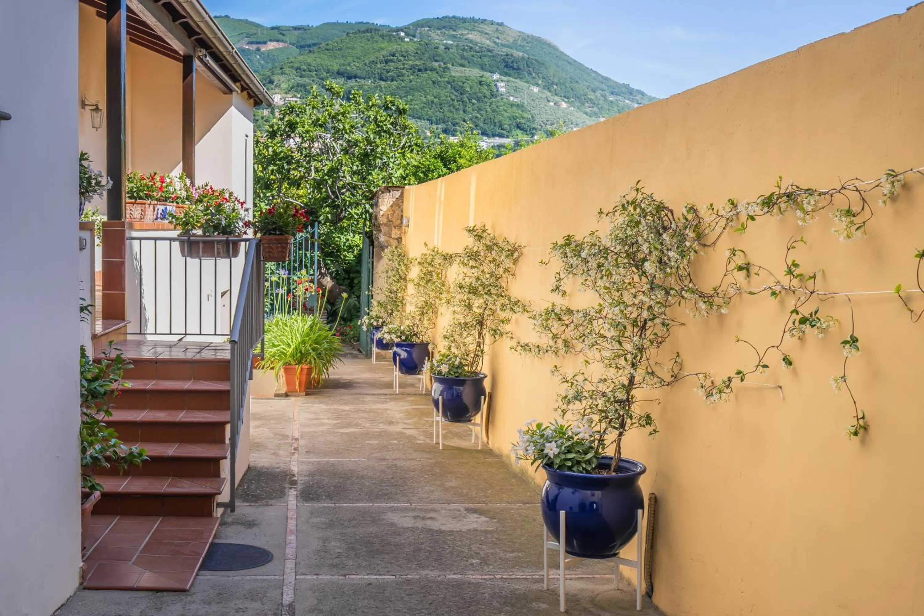 Balcony/Terrace in Casa Assunta B&B