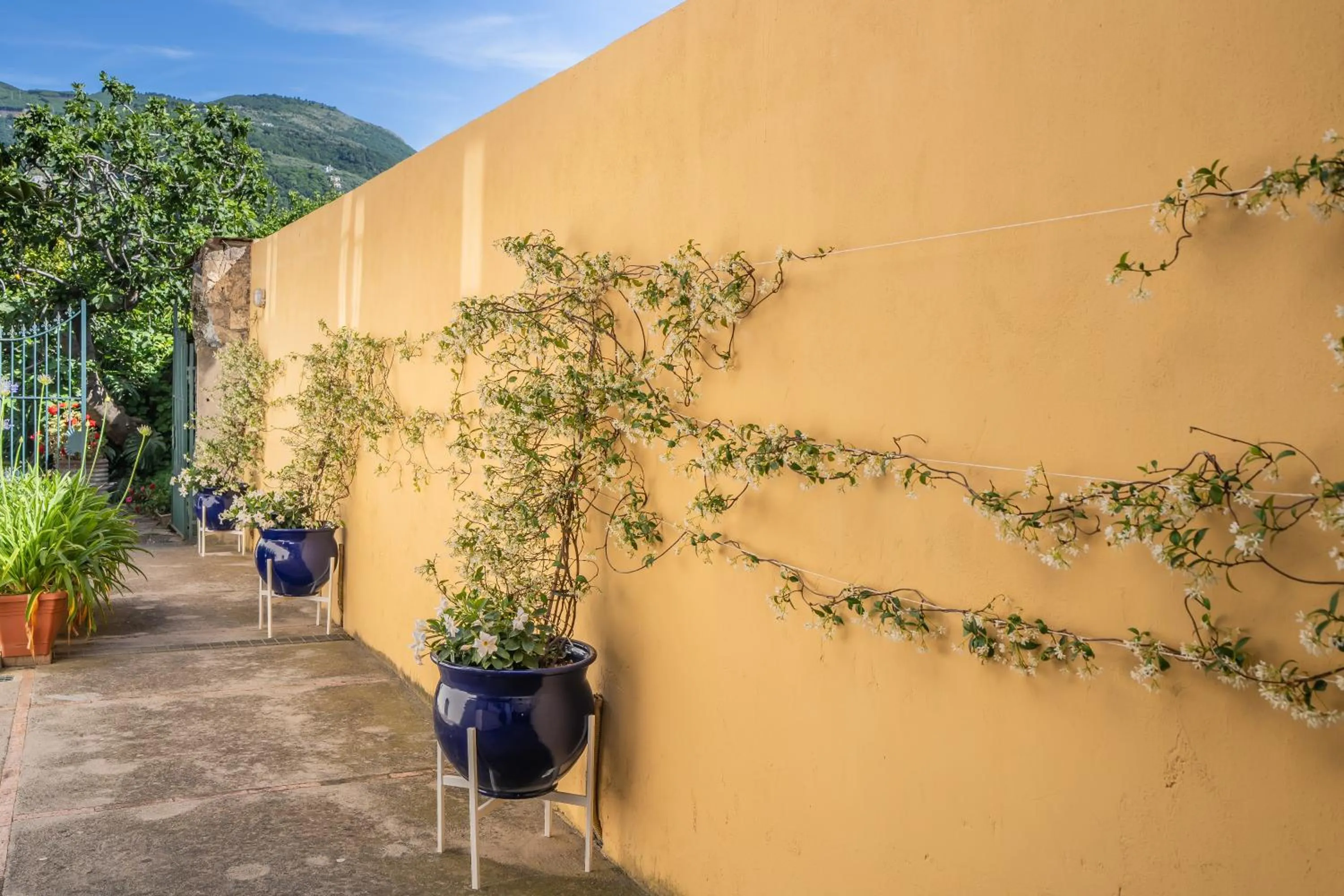 Summer in Casa Assunta B&B