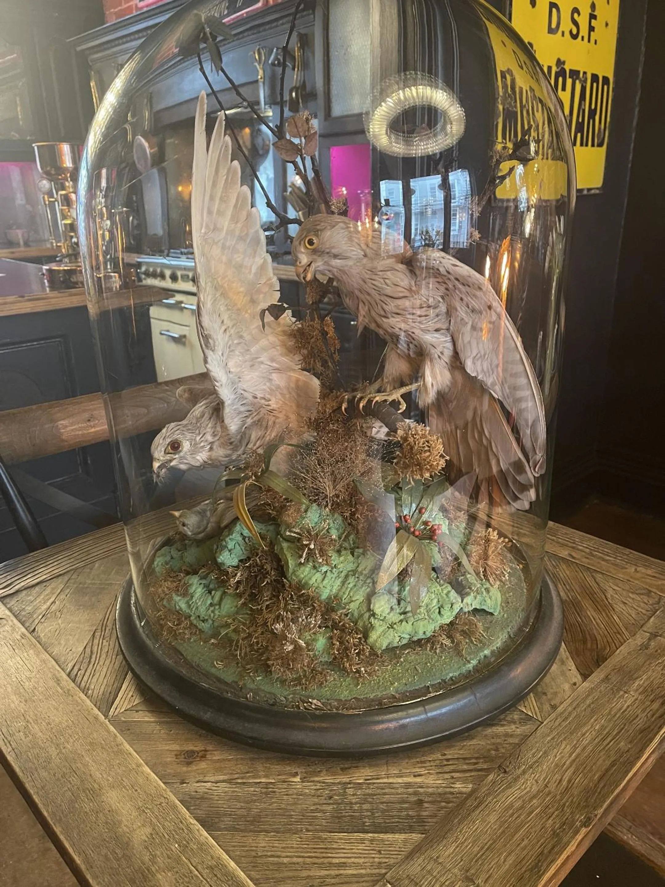 Other in The Twenty One