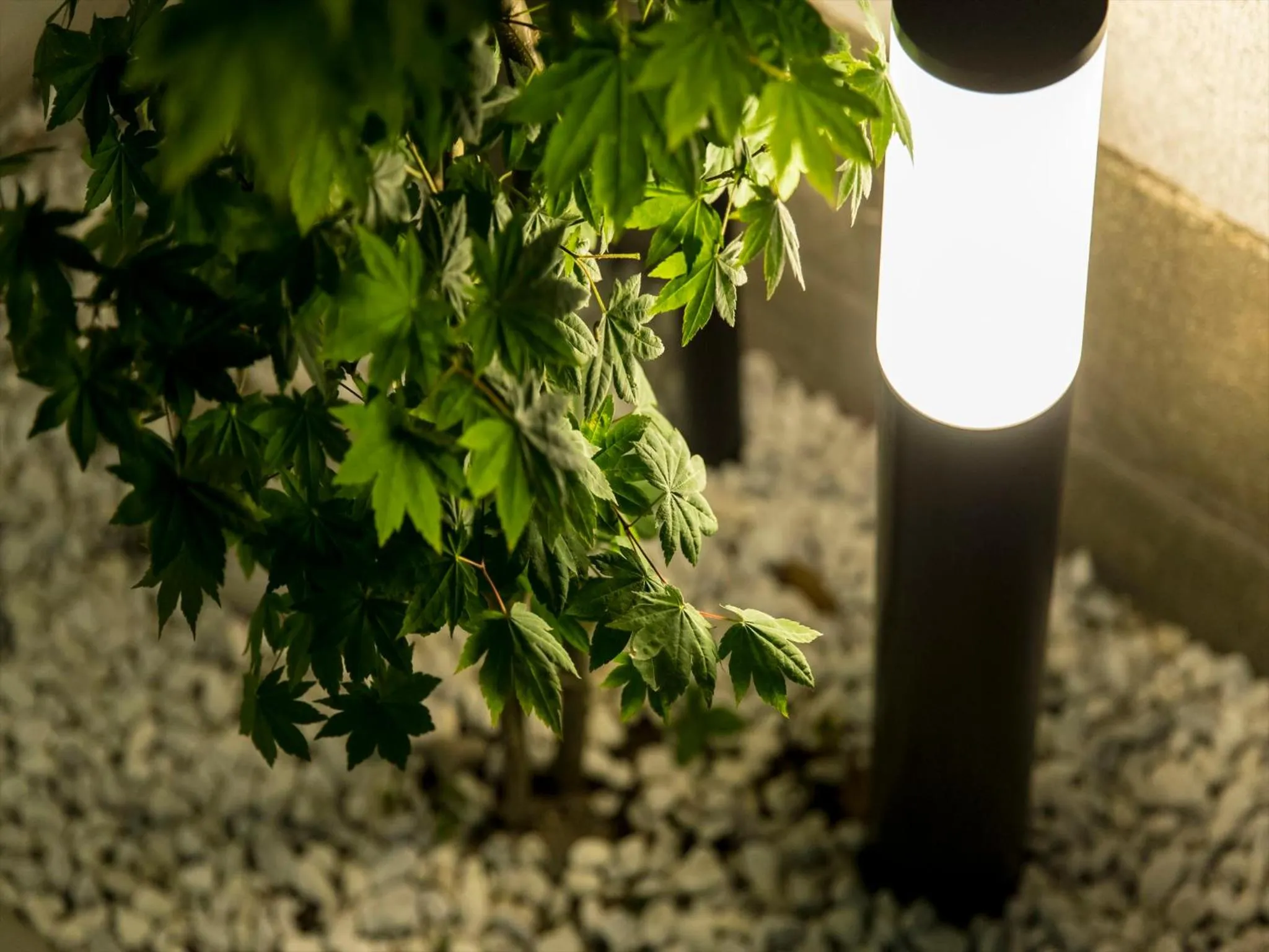 Other in TRIP POD KOMONDO-MACHI