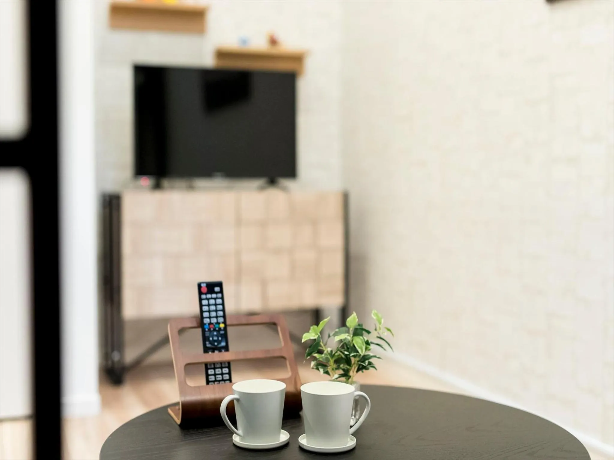 TV and multimedia in TRIP POD TAKASAGO B