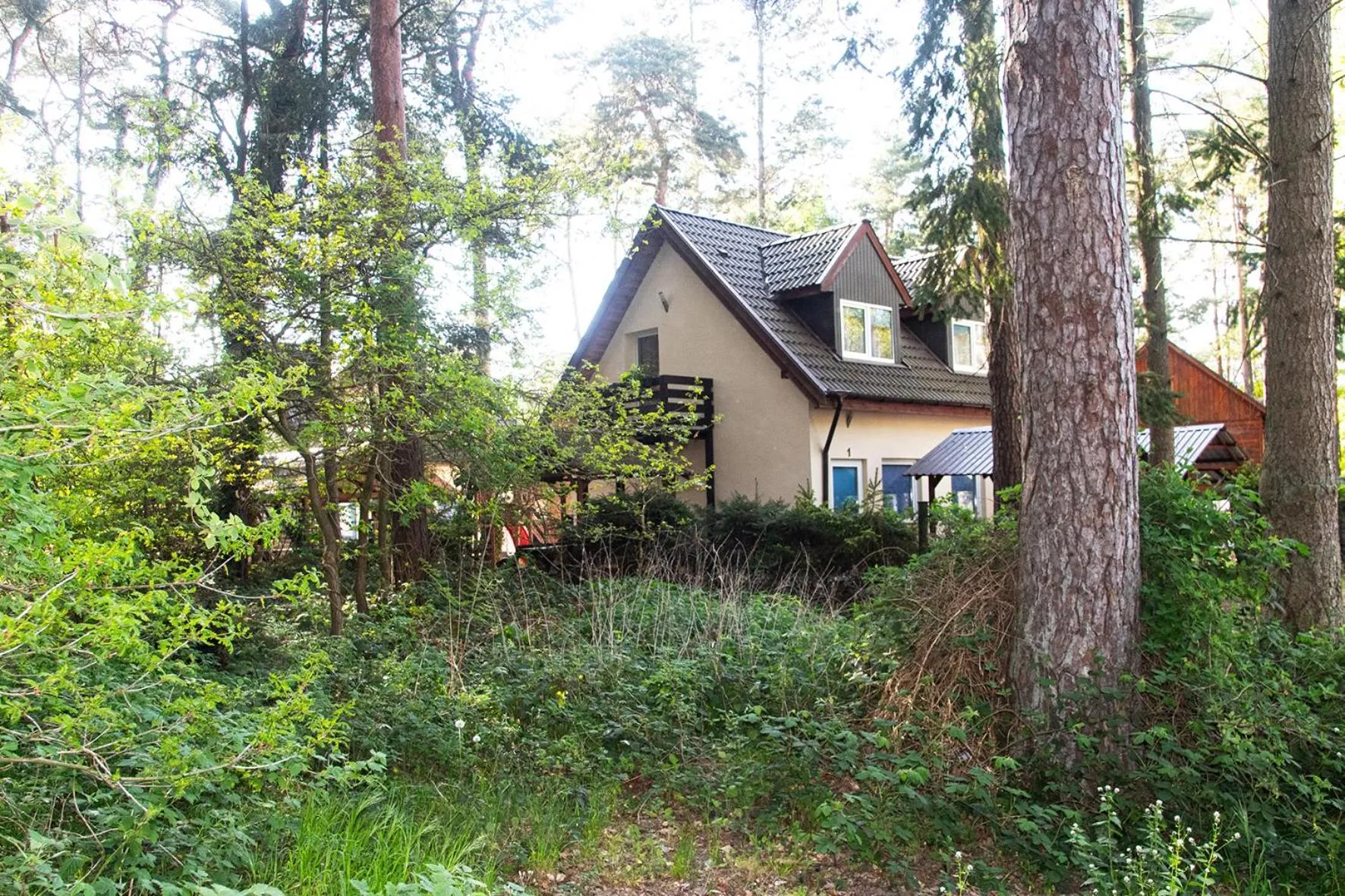 Natural landscape in Sztil - Apartamenty i drewniane domki
