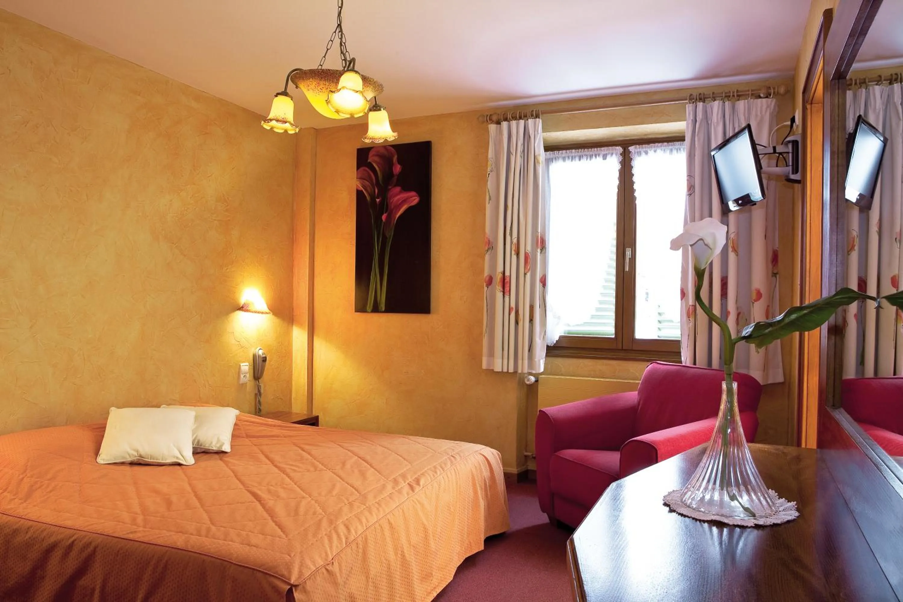 Photo of the whole room, Bed in Hôtel A la Vignette - COLMAR-NORD
