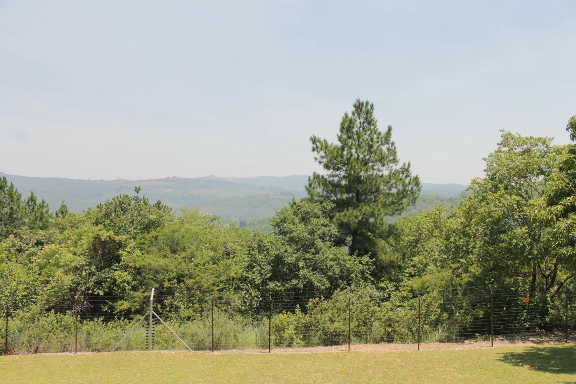 View (from property/room) in Cuckoo Ridge Country Retreat