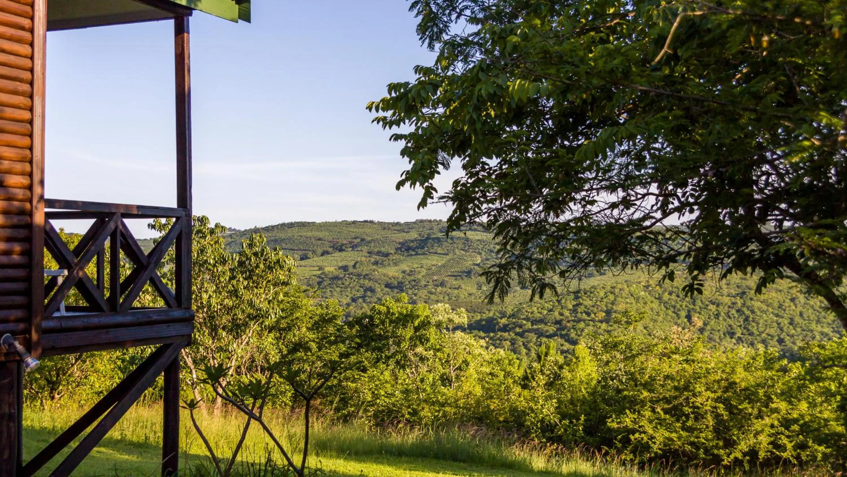 Garden in Cuckoo Ridge Country Retreat