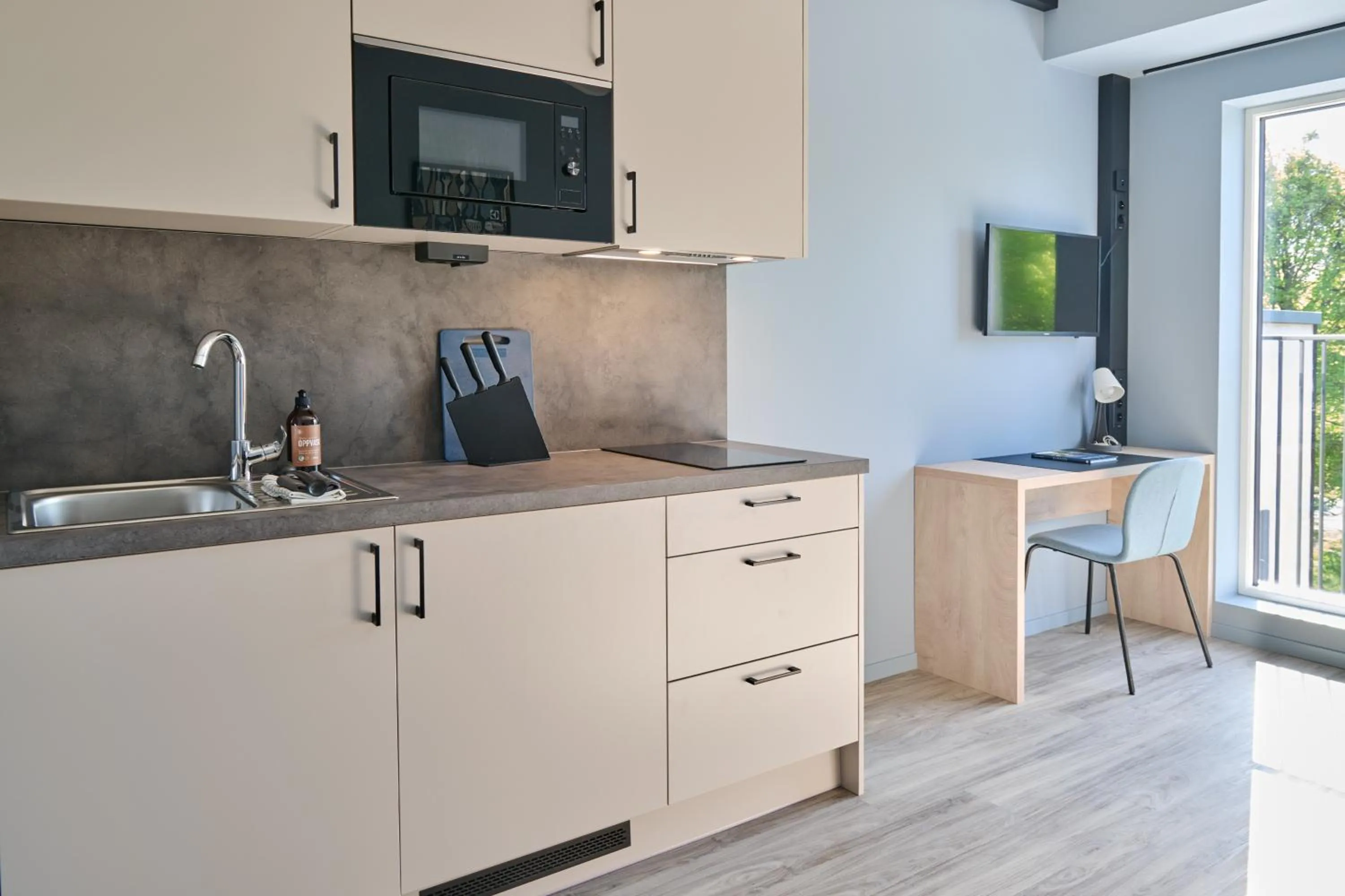 TV and multimedia in Horten Apartment