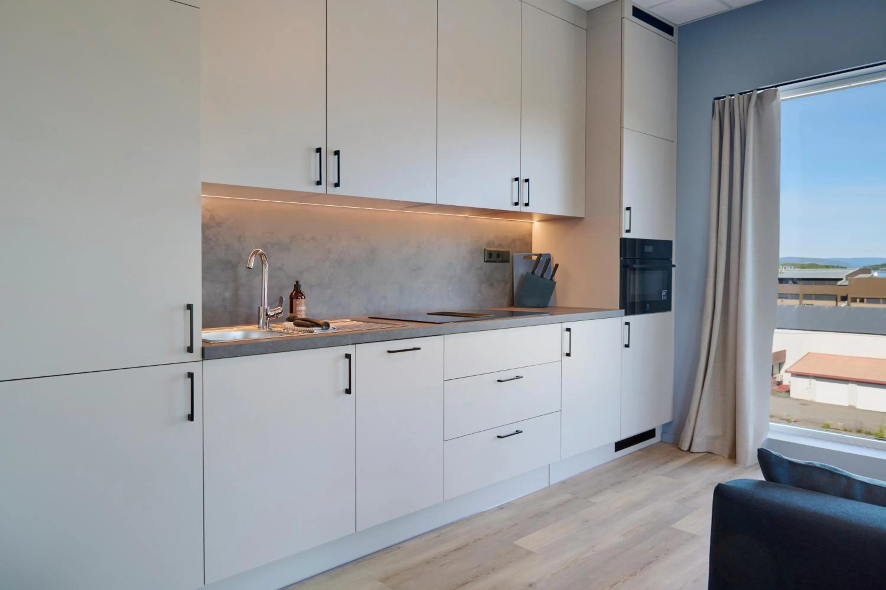 Kitchen or kitchenette in Horten Apartment
