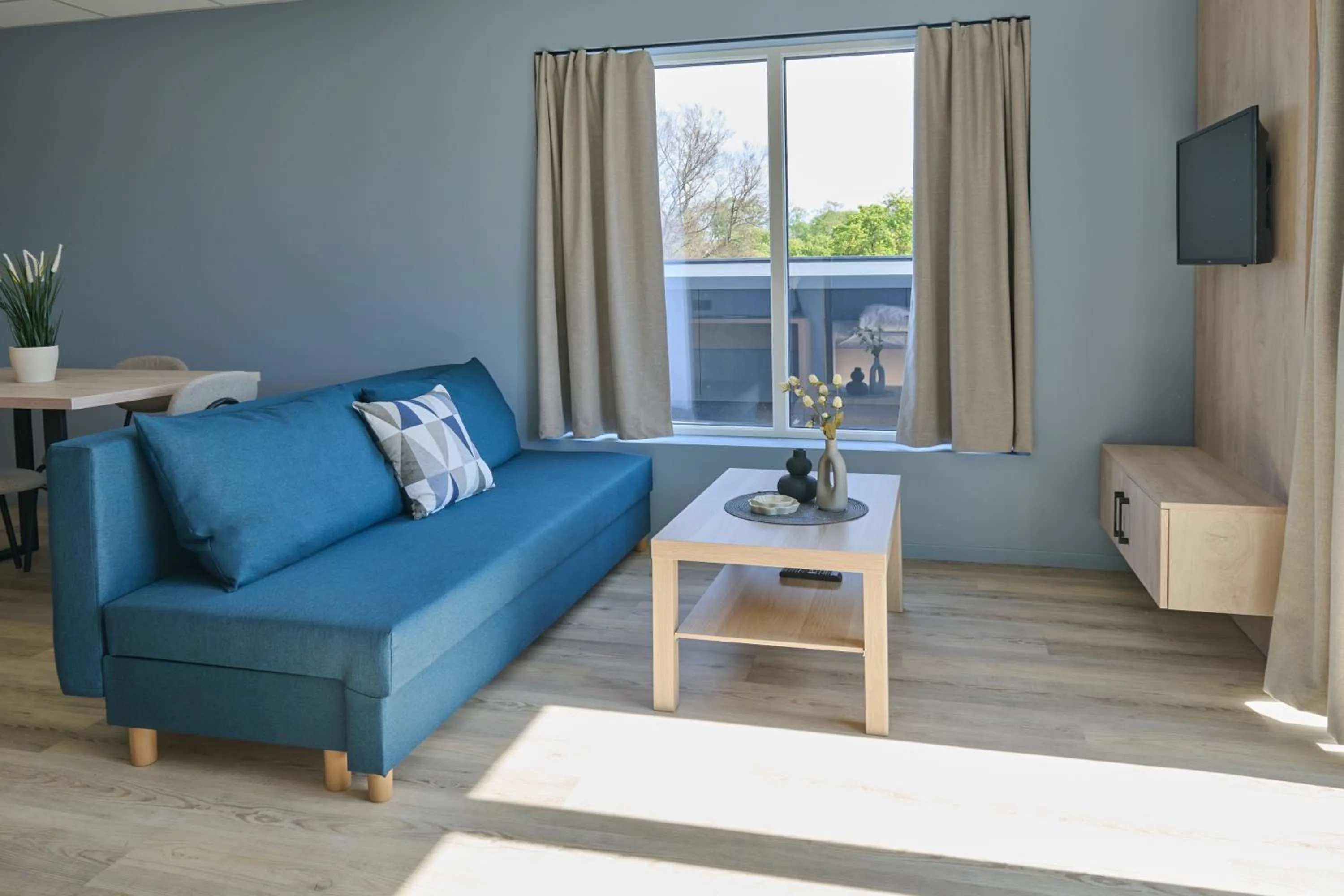 TV and multimedia in Horten Apartment