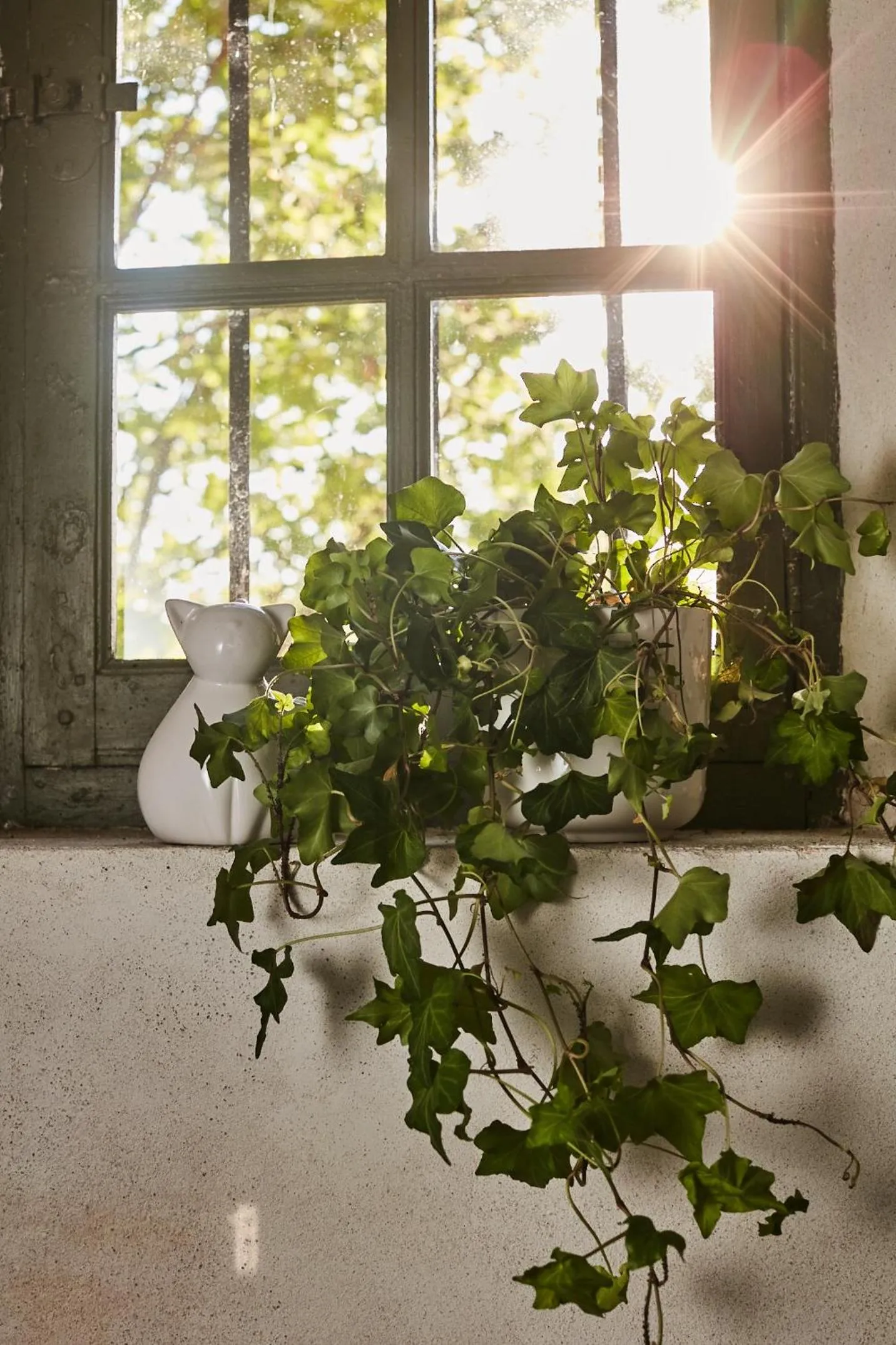 Decorative detail in Fontclaire en Provence