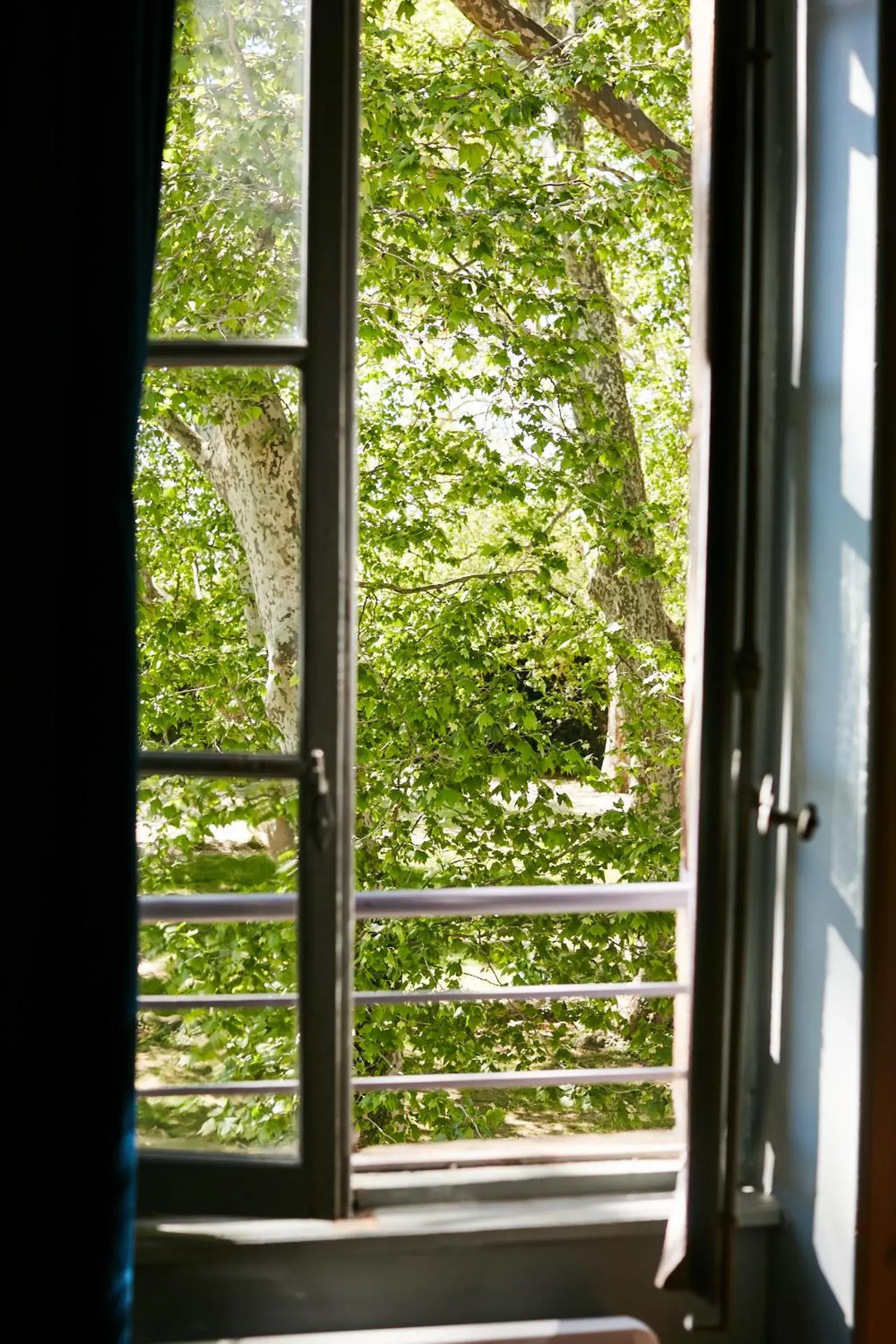 Double or Twin Room in Fontclaire en Provence Double or Twin Room in Fontclaire en Provence