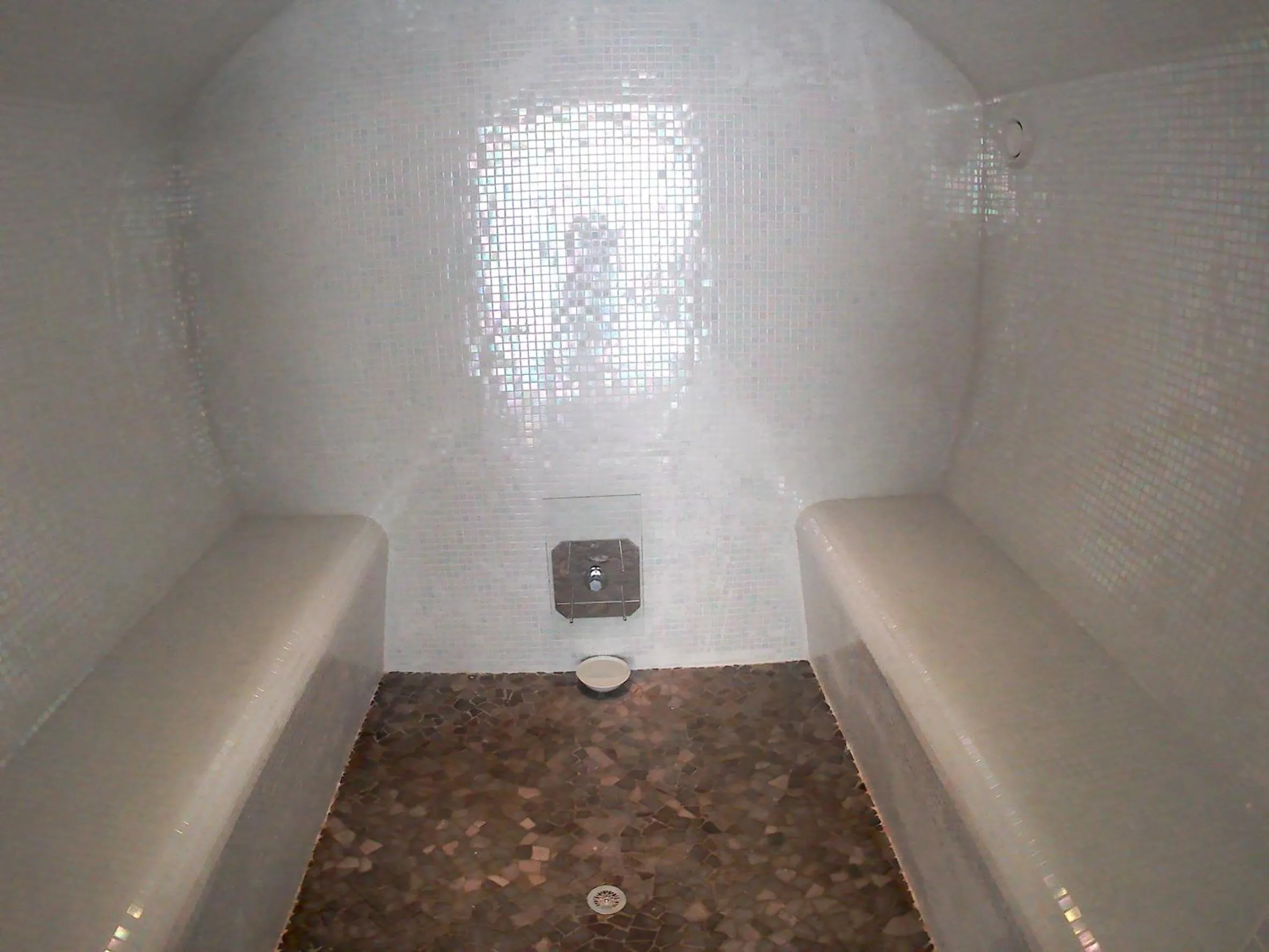 Steam room in Mas d'Asvin & Spa