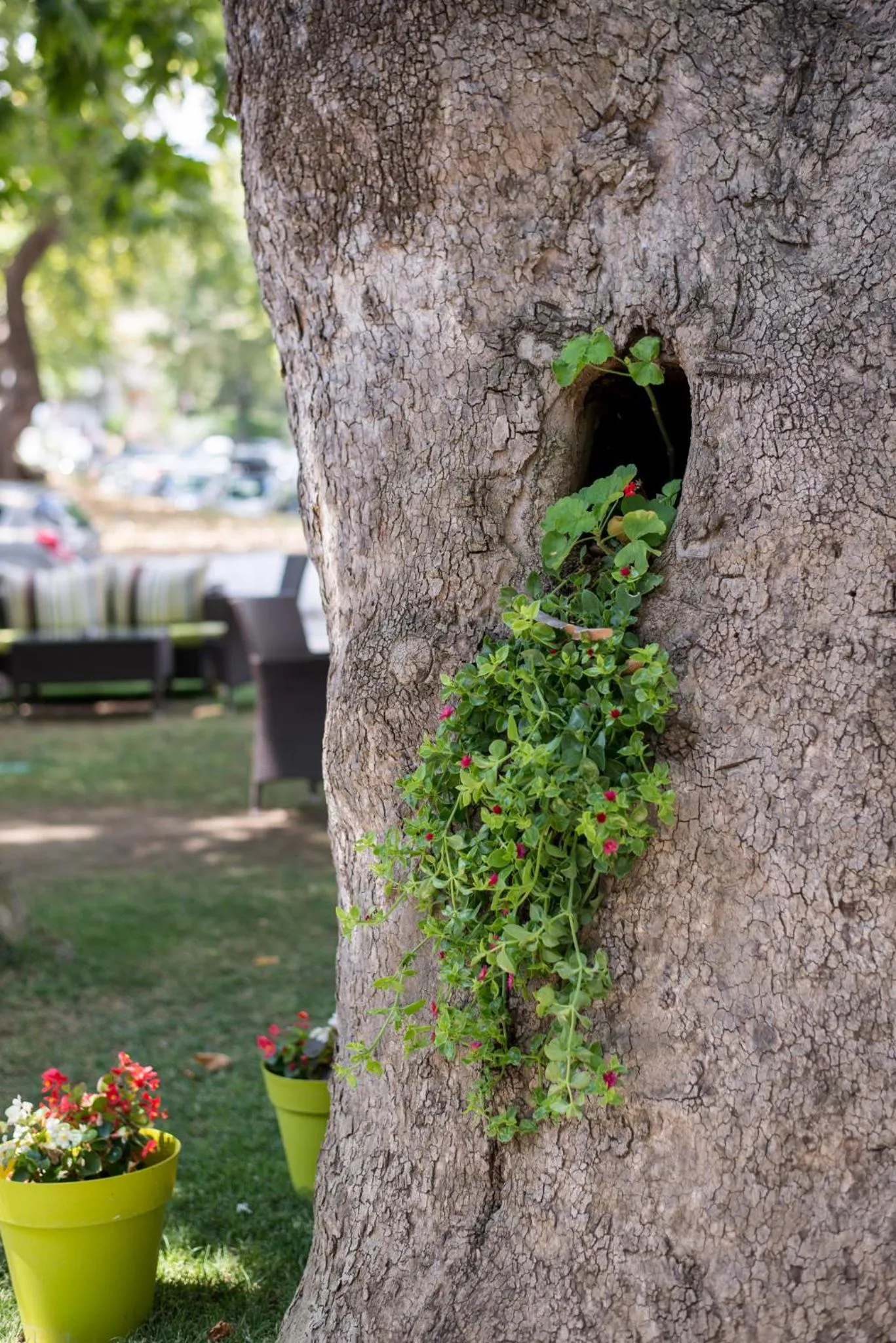 Other in Hotel Ifigenia