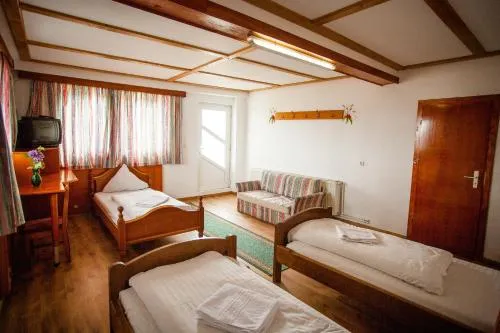 Casa Cerbului1