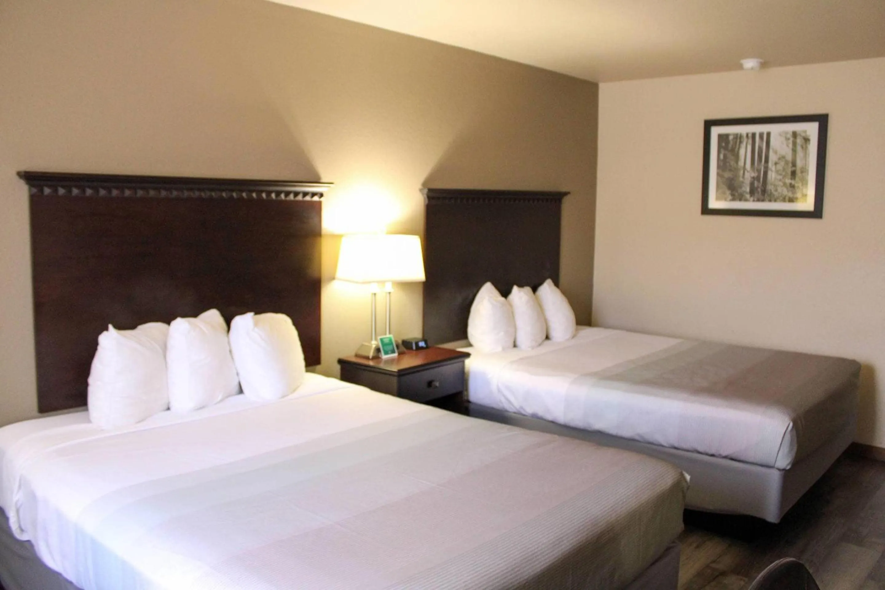 Bedroom, Bed in Quality Inn Gunnison-Crested Butte