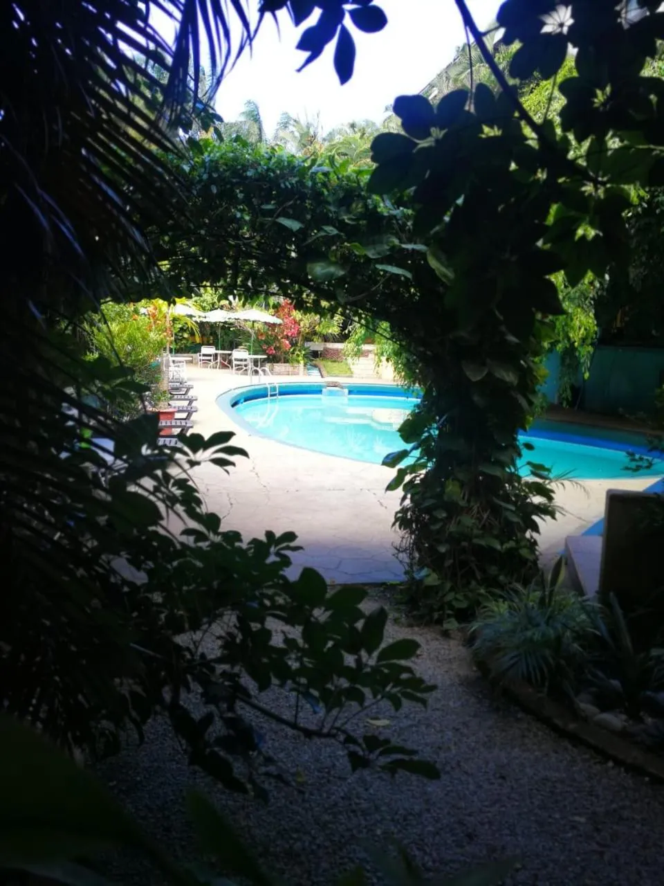Swimming pool in Hotel Villa Tournon