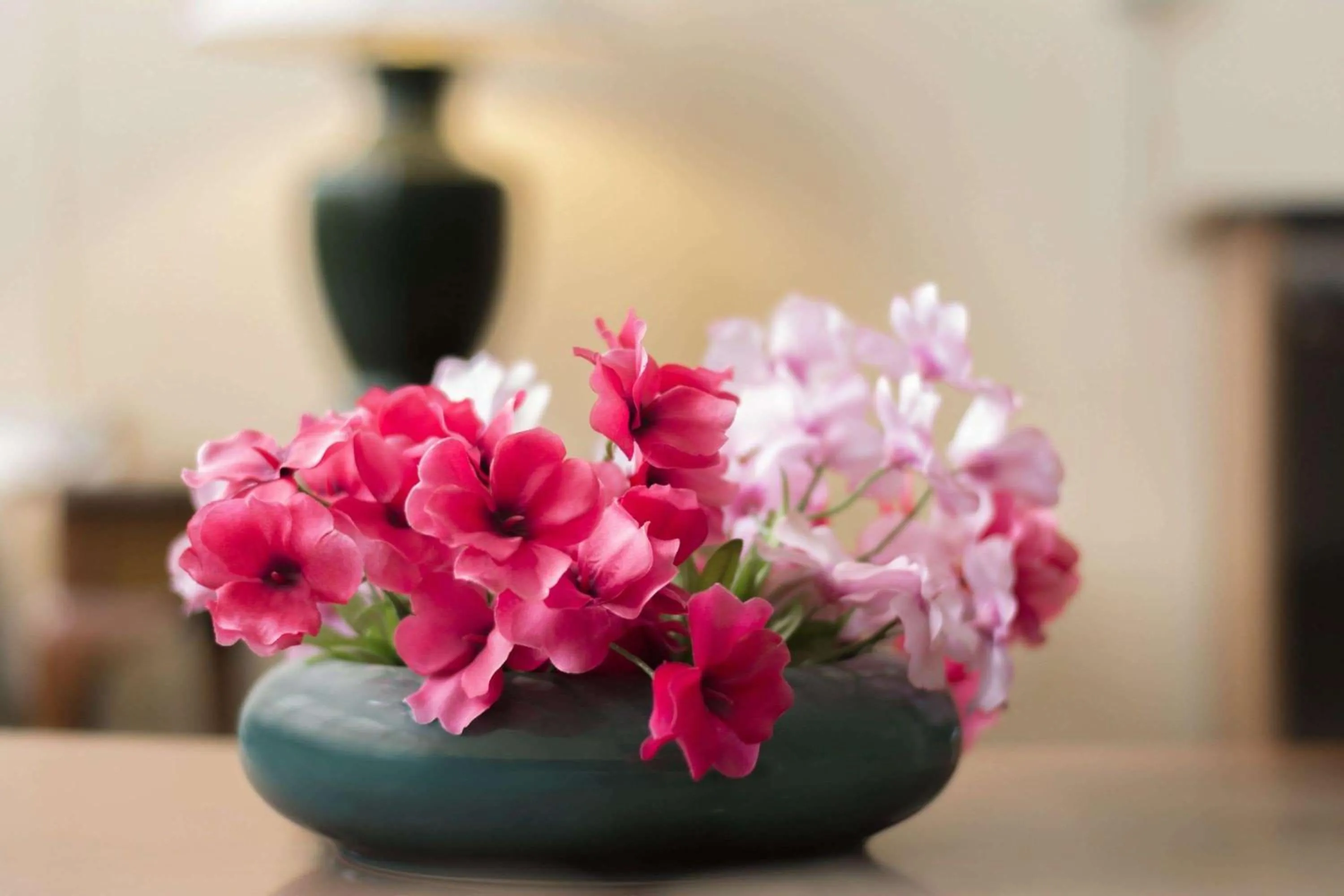 On site in Microtel Inn & Suites by Wyndham Columbia Fort Jackson N