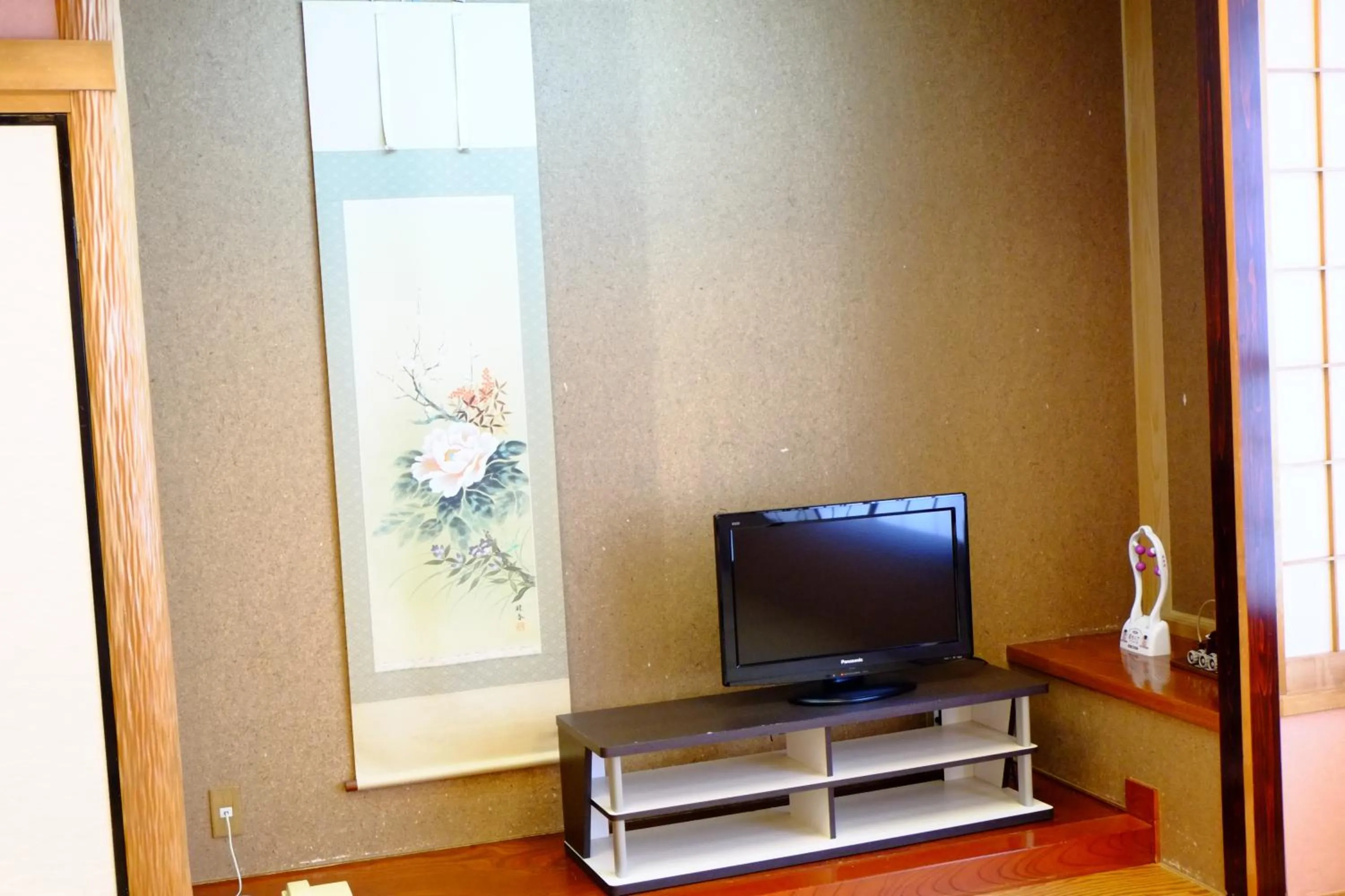 TV and multimedia in Lake Yamanakako Shuzansou