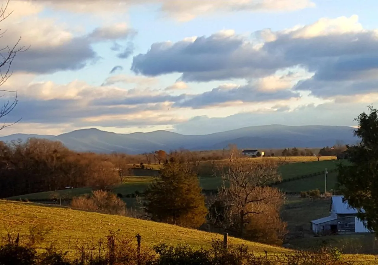 Bird's eye view in Piney Hill B&B and Cottages