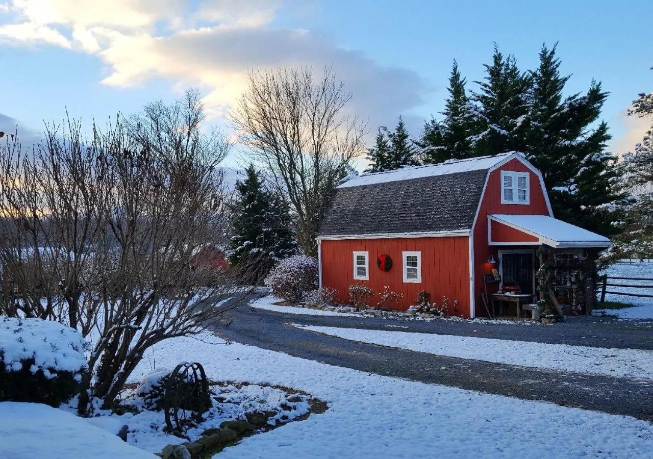 Property building in Piney Hill B&B and Cottages