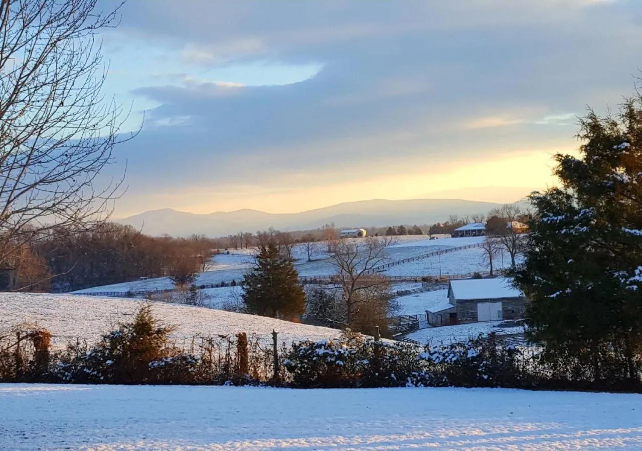 Property building in Piney Hill B&B and Cottages