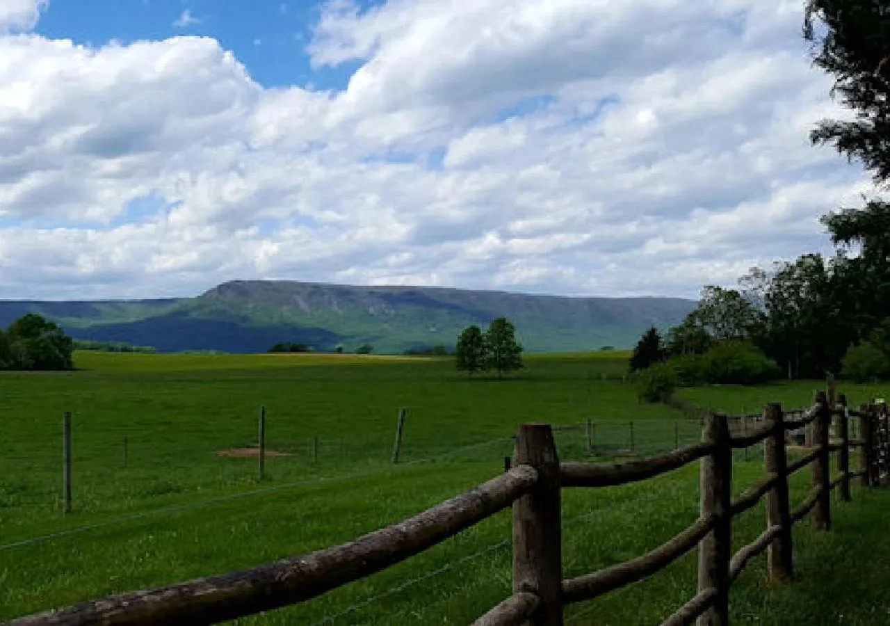 Mountain view in Piney Hill B&B and Cottages