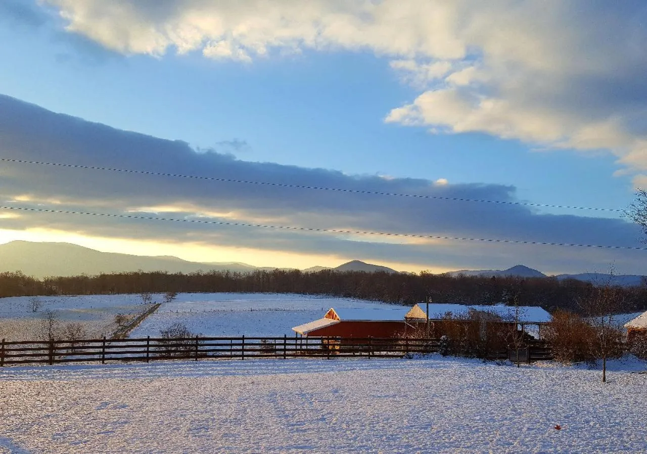 Natural landscape in Piney Hill B&B and Cottages