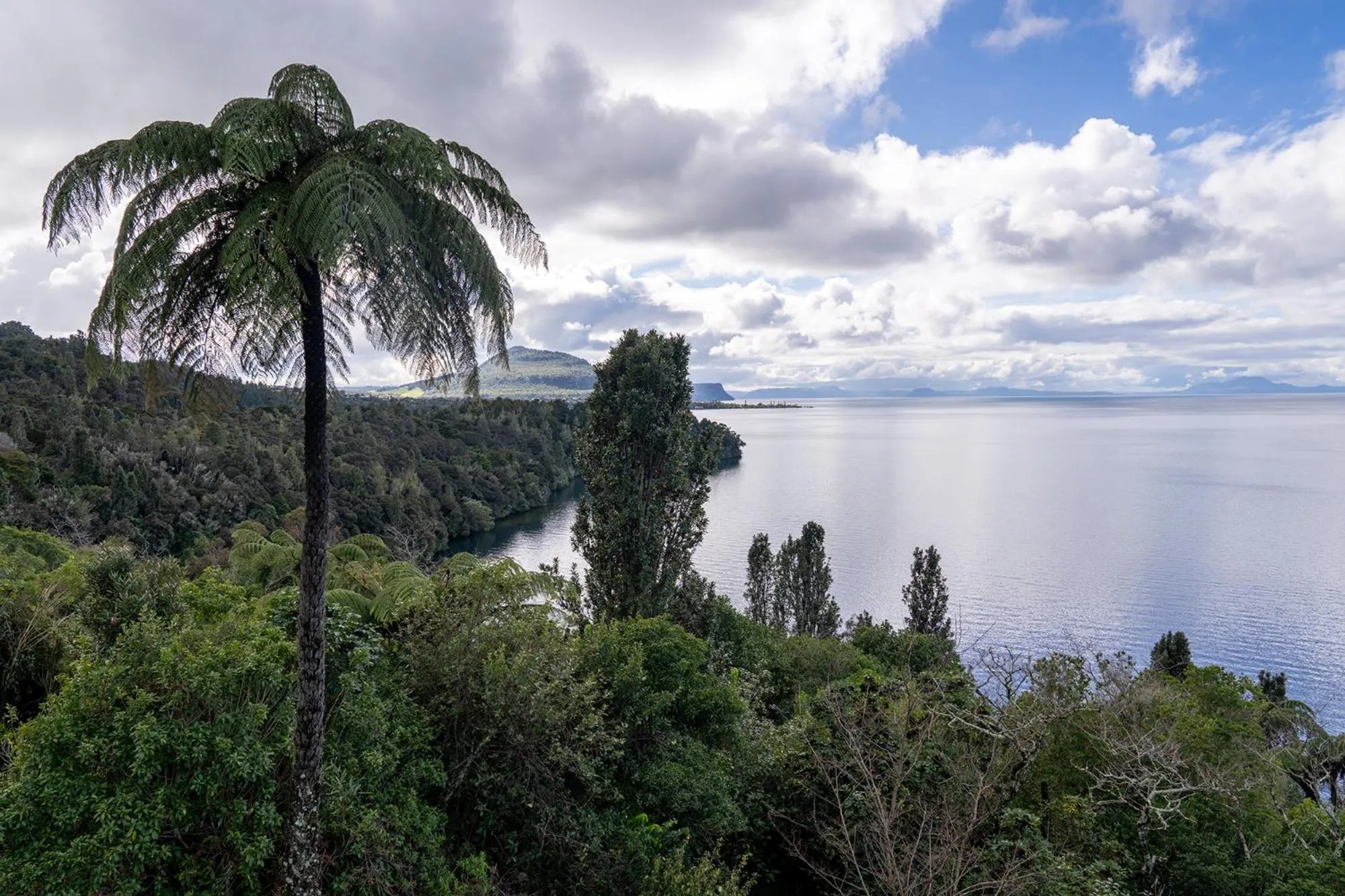 Oreti Collection - By Vacations in Paradise