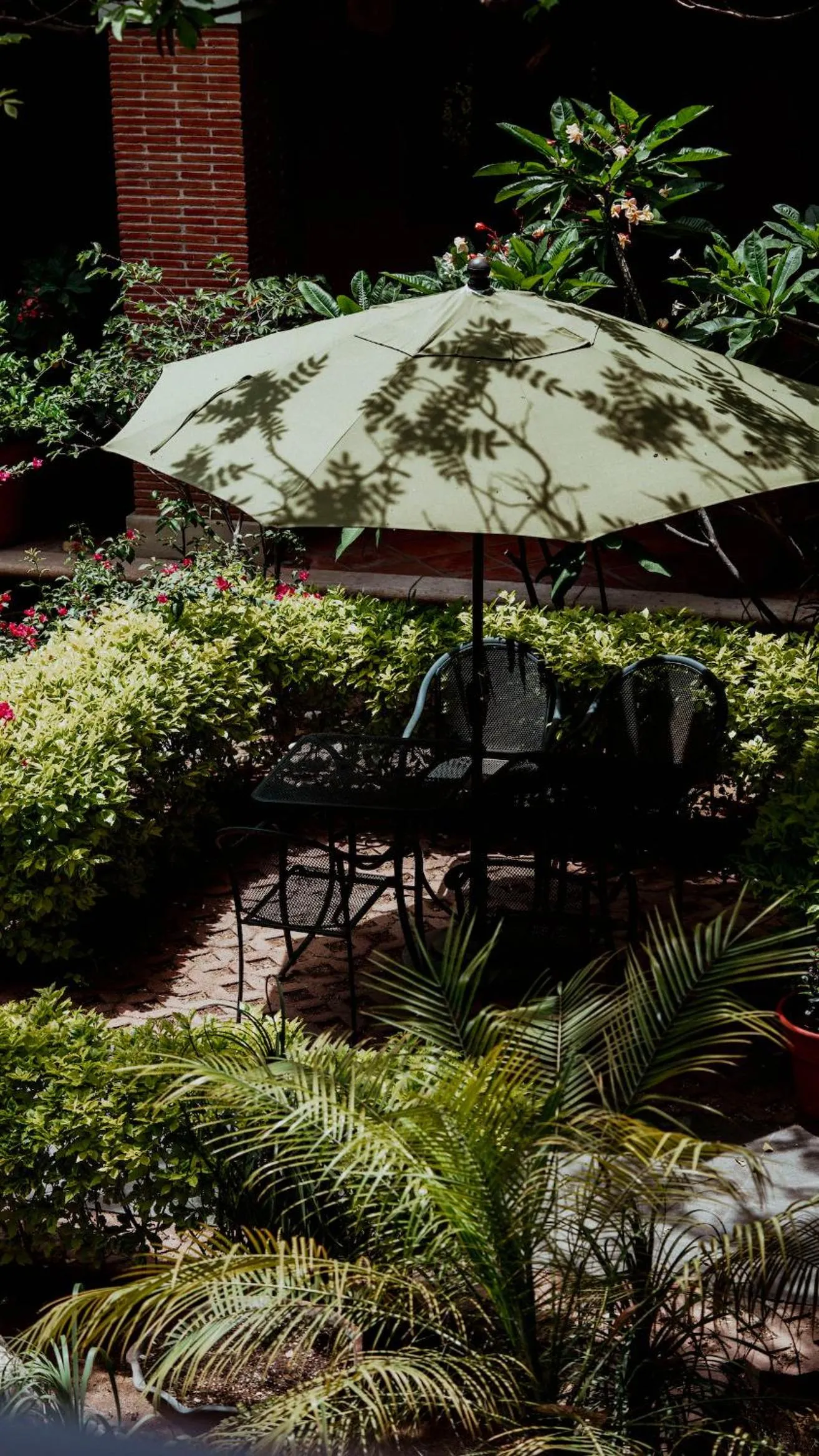 Restaurant/places to eat in Hotel Siglo 17