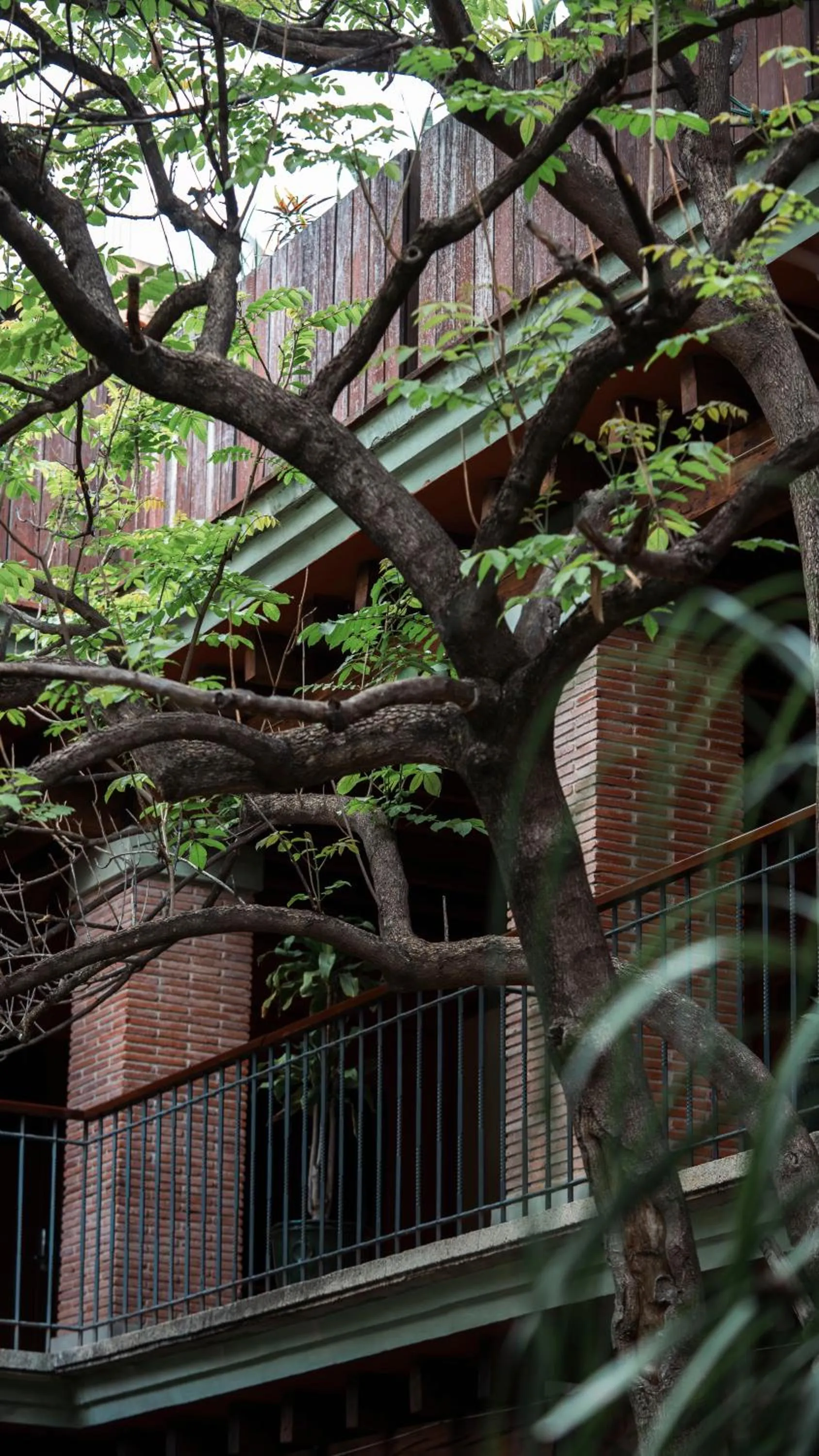 Day in Hotel Siglo 17