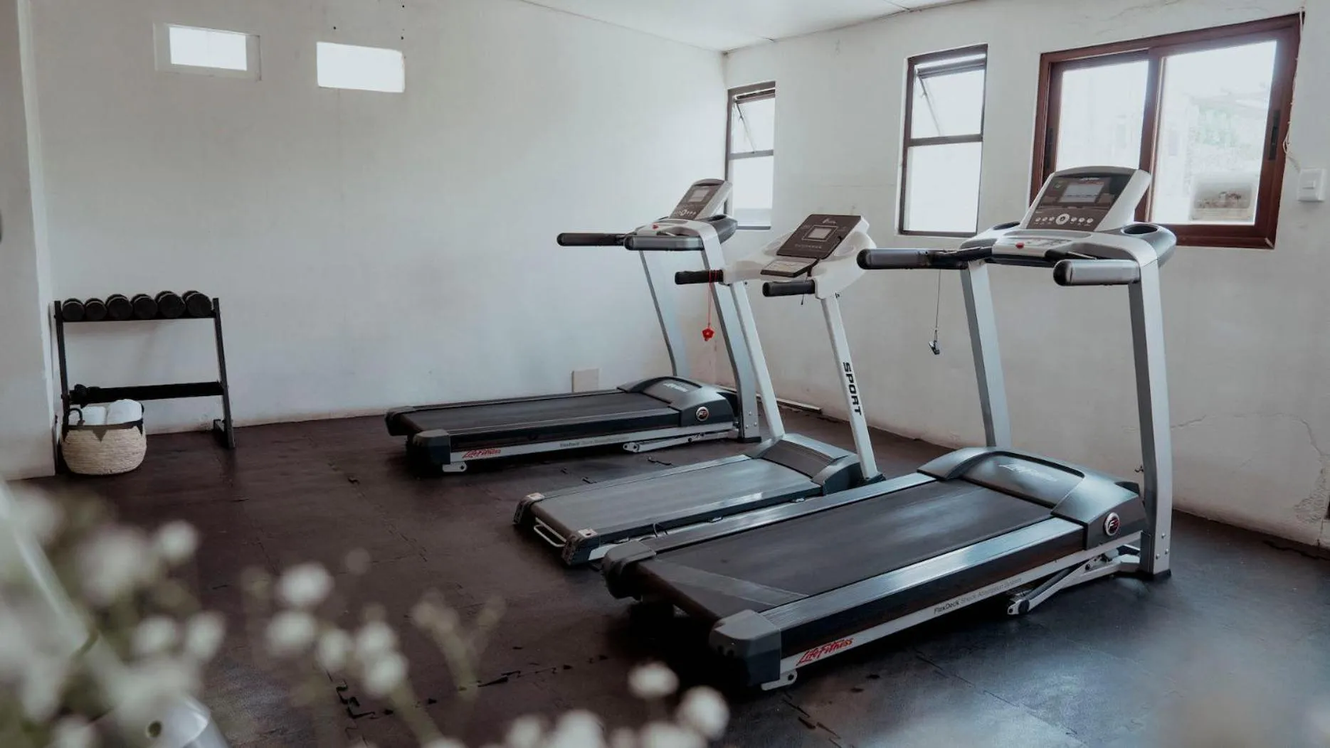 Fitness centre/facilities in Hotel Siglo 17