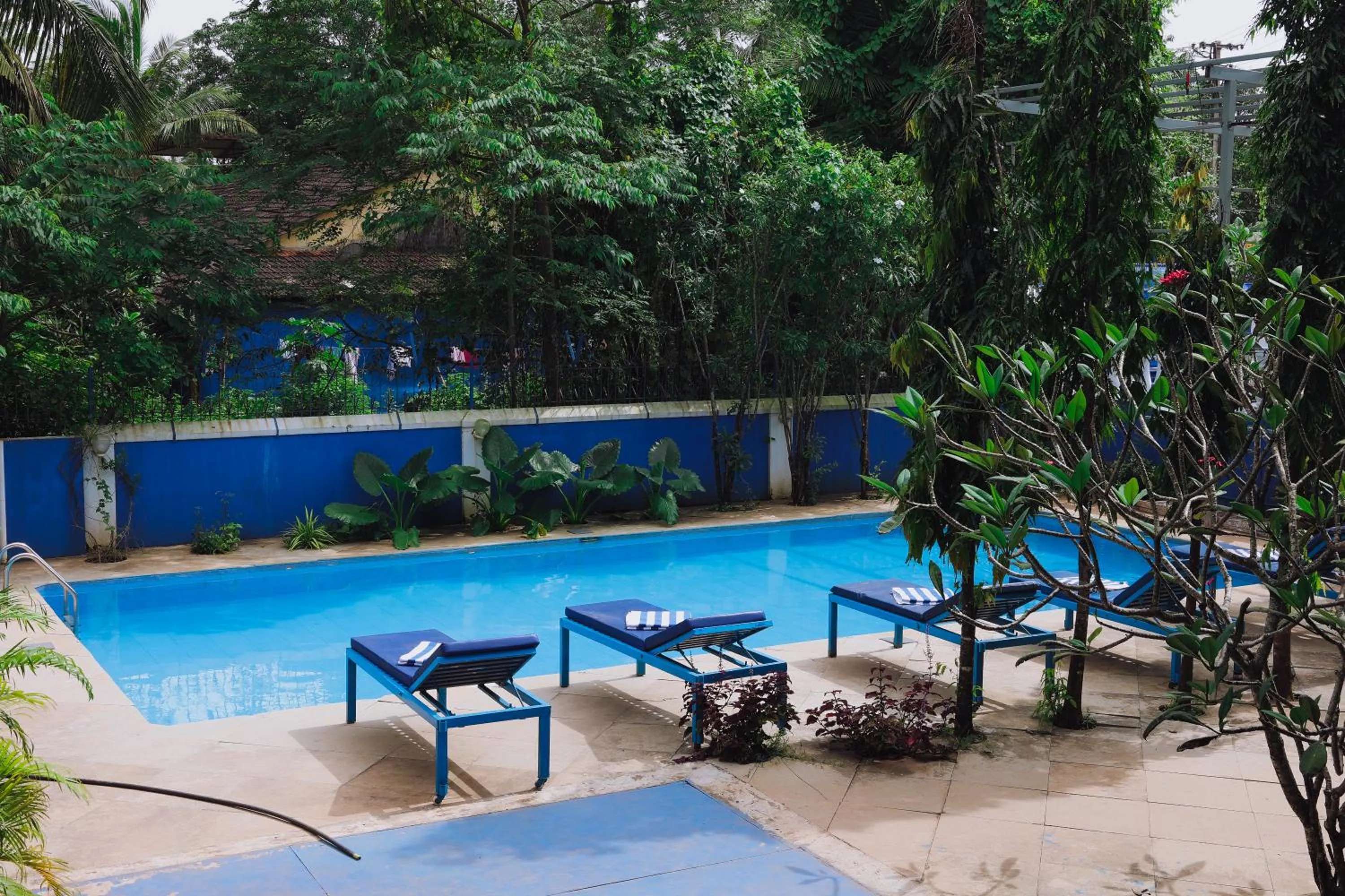 Garden view in Mayflower Beach Resort