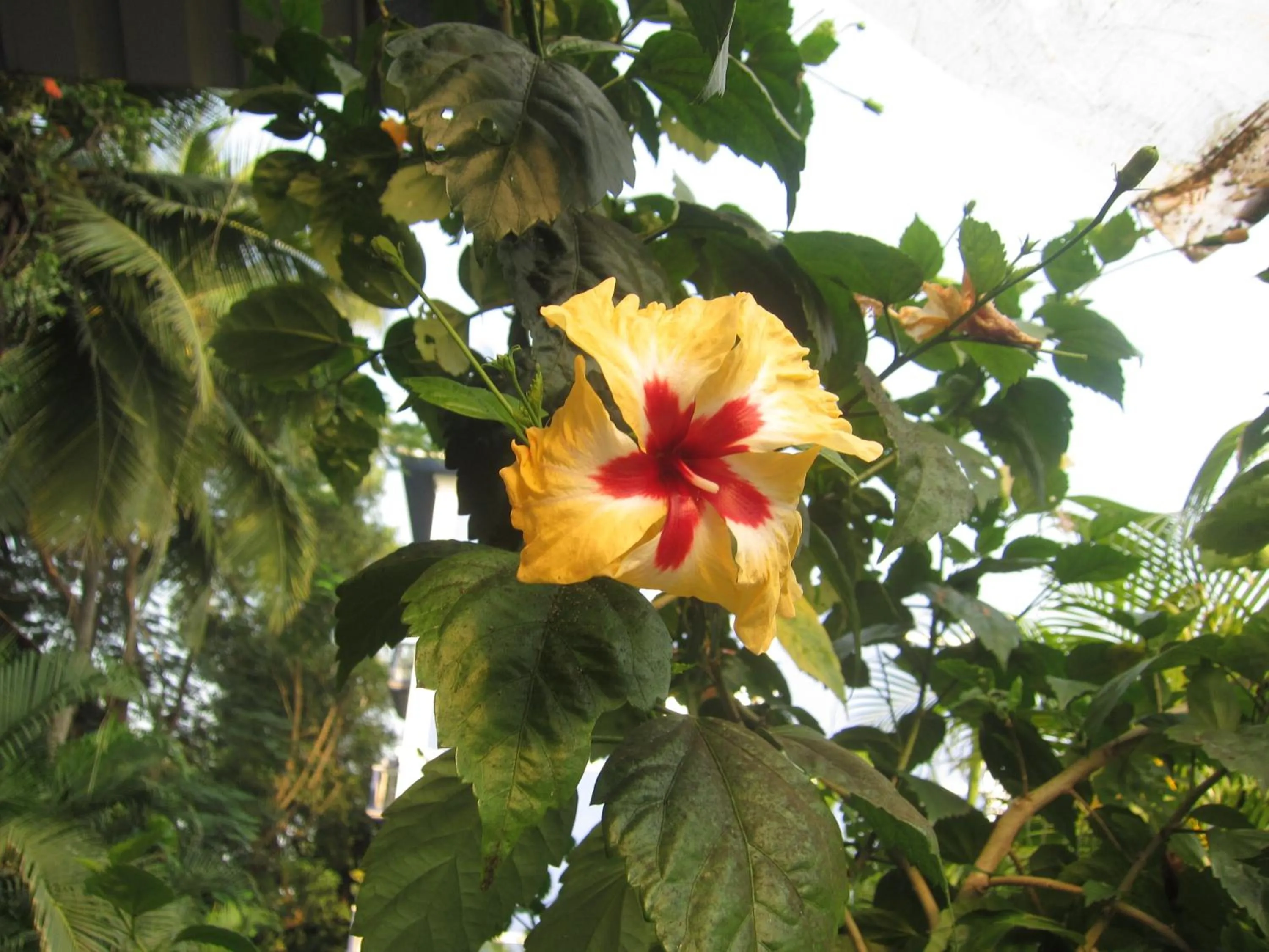 Other in Mayflower Beach Resort