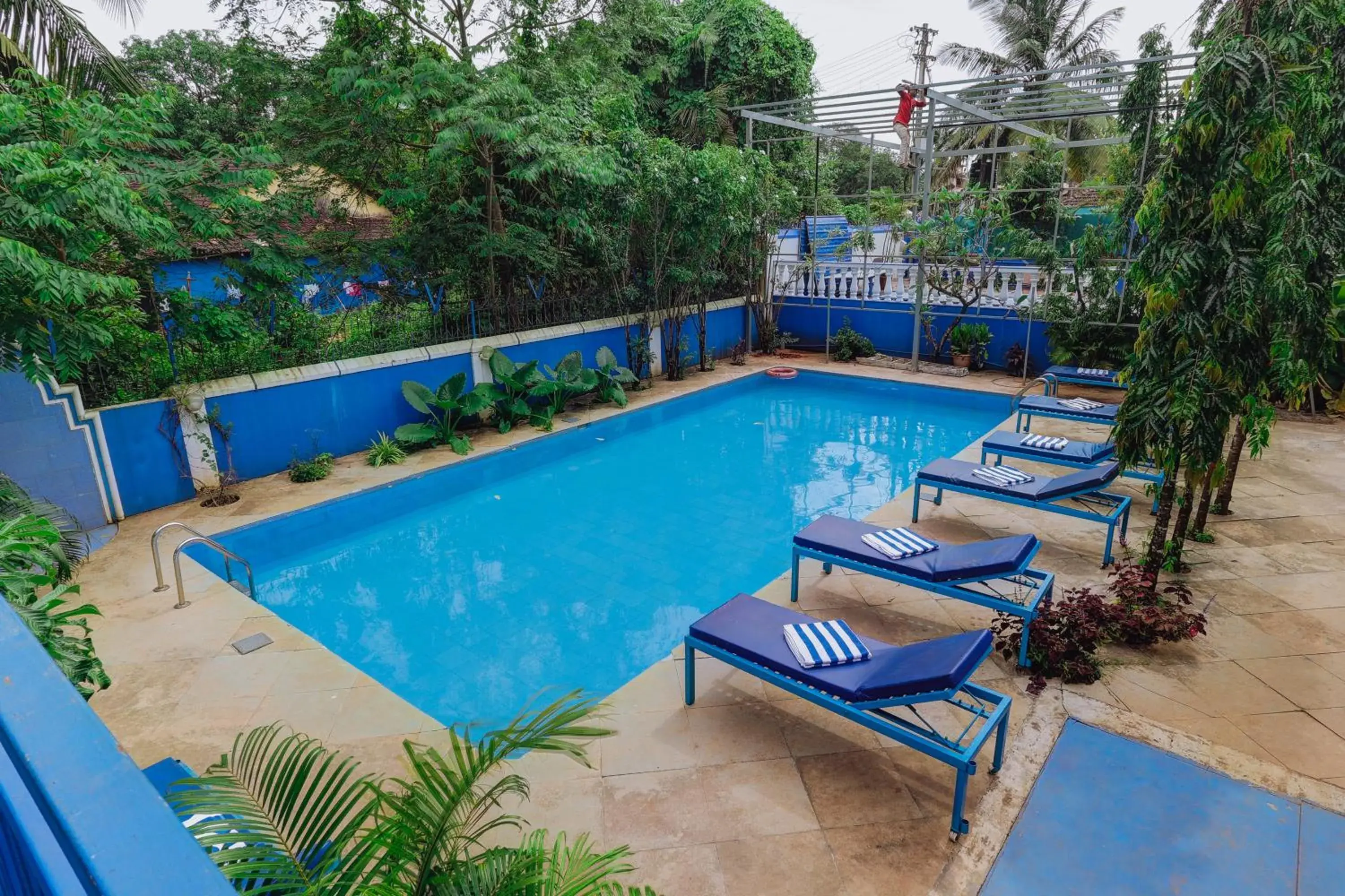 Garden view in Mayflower Beach Resort Garden view in Mayflower Beach Resort