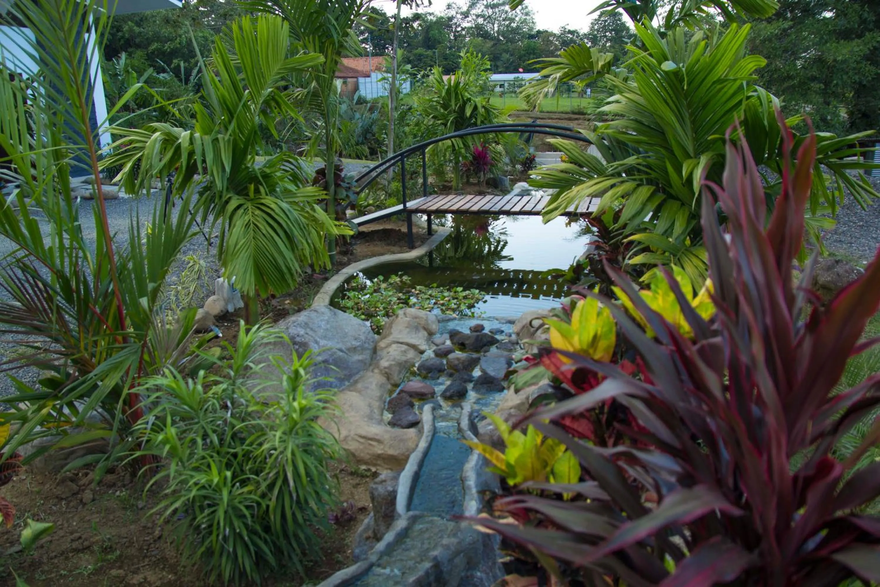 Garden view in Residencias Arenal