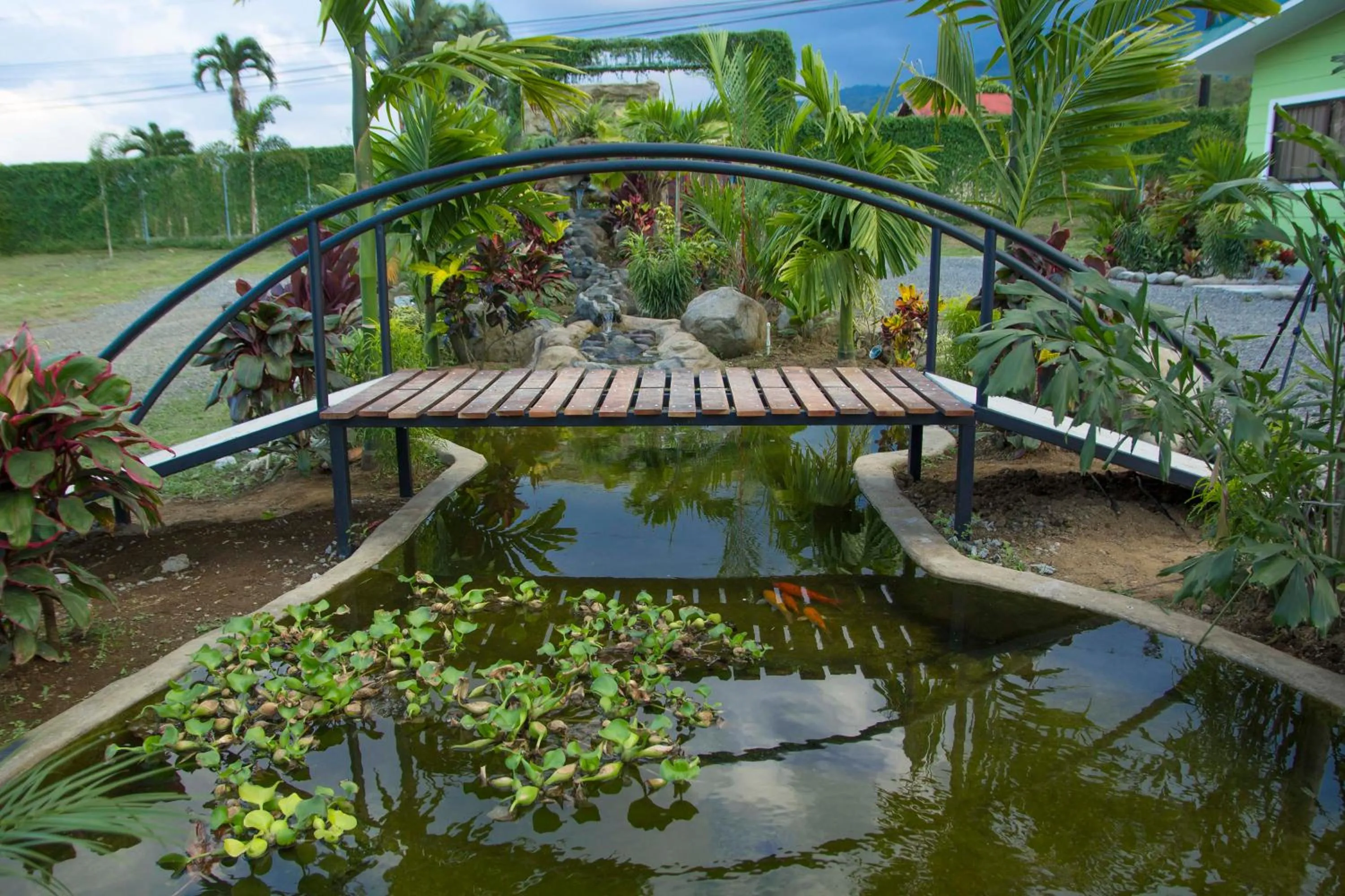 Natural landscape in Residencias Arenal