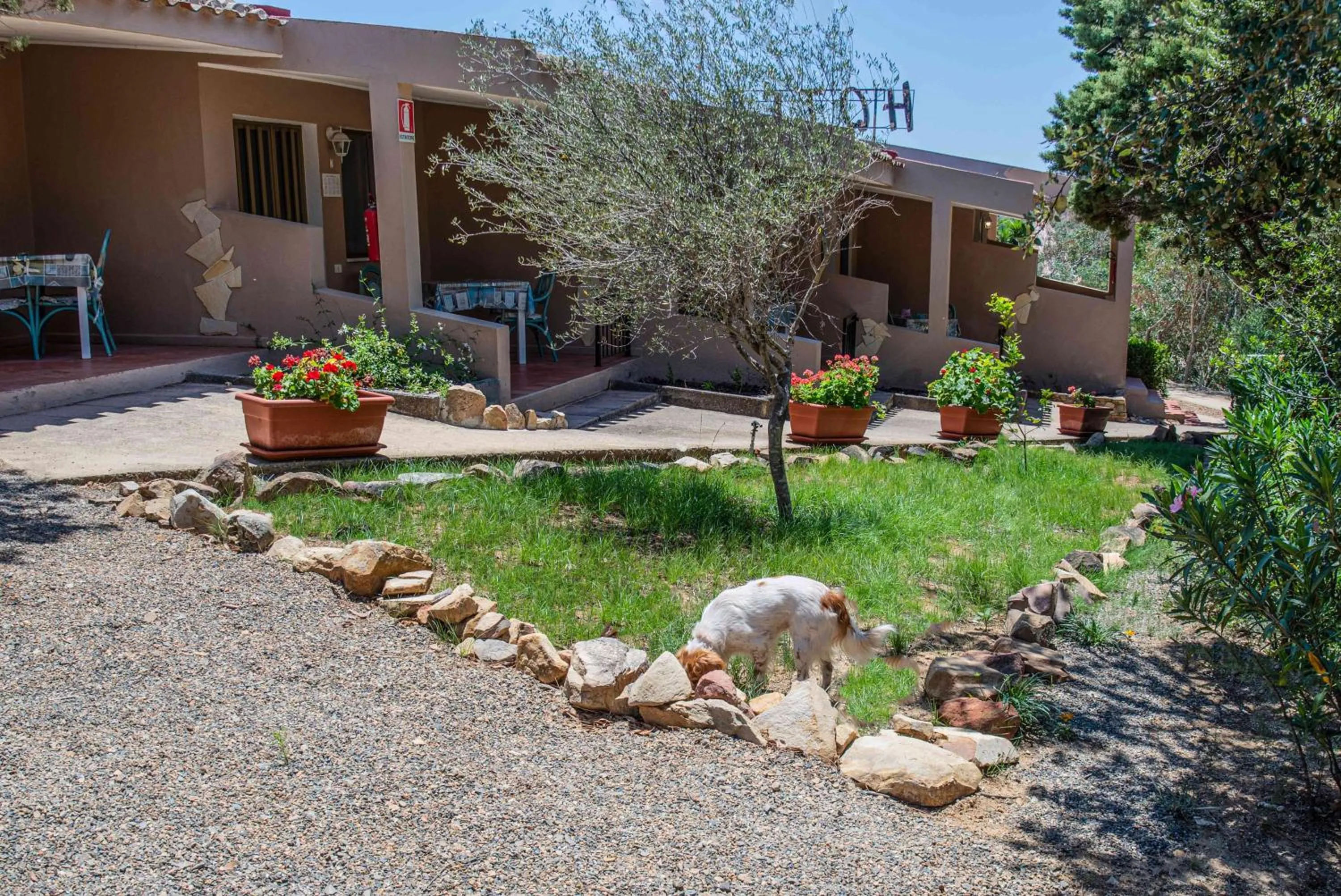 Patio in Hotel L'Oleandro