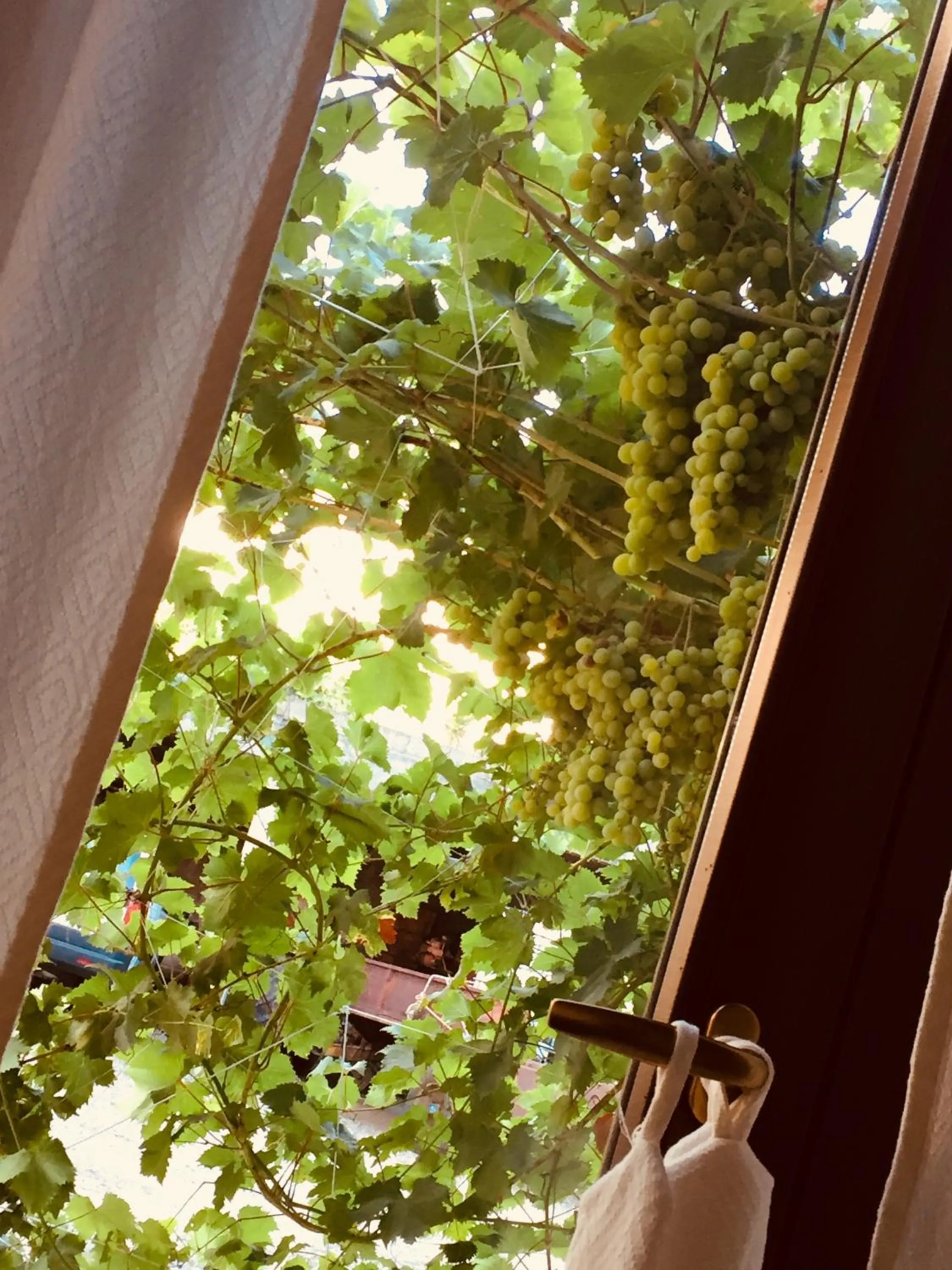 Garden view in Il Portico Guesthouse