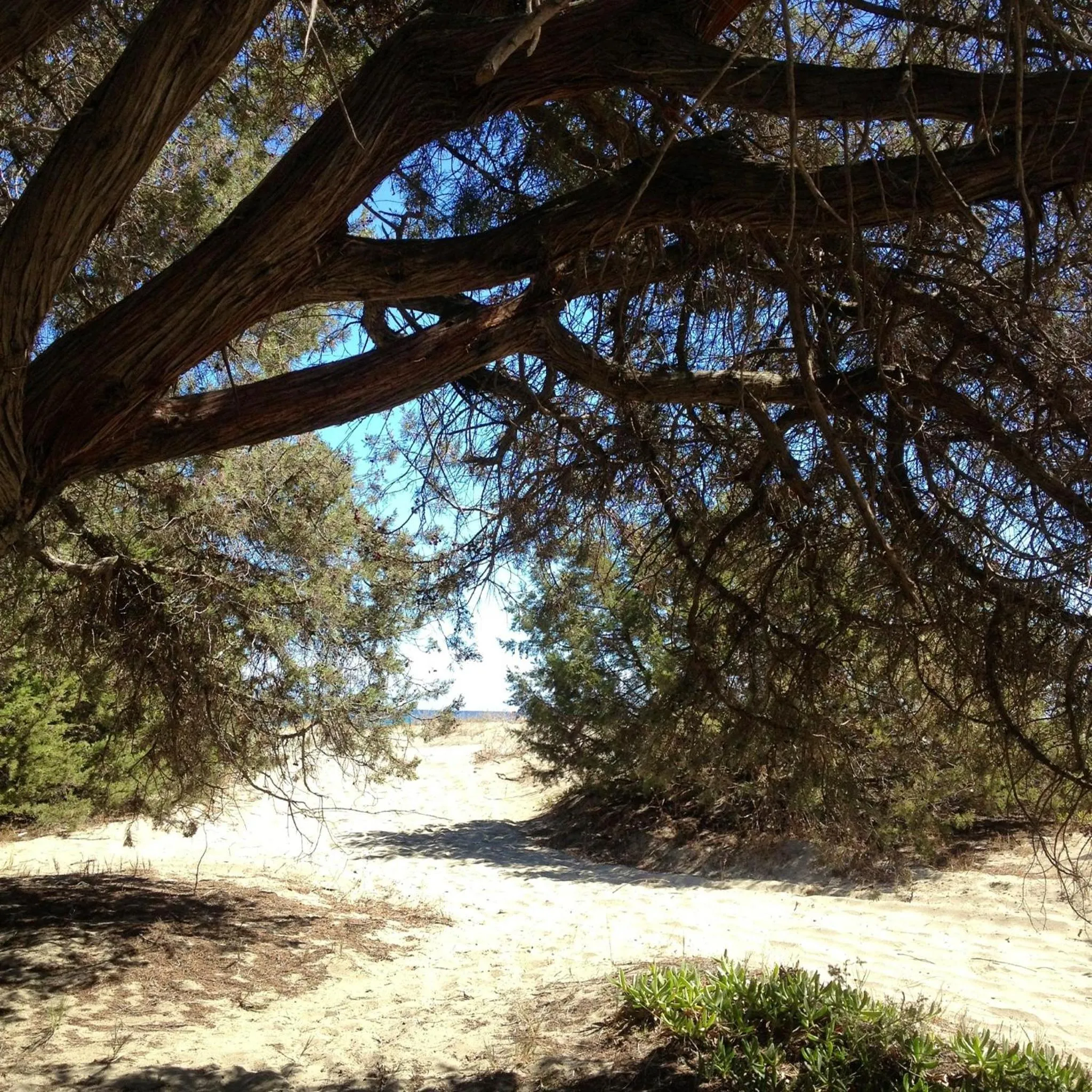 Beach in Il Portico Guesthouse