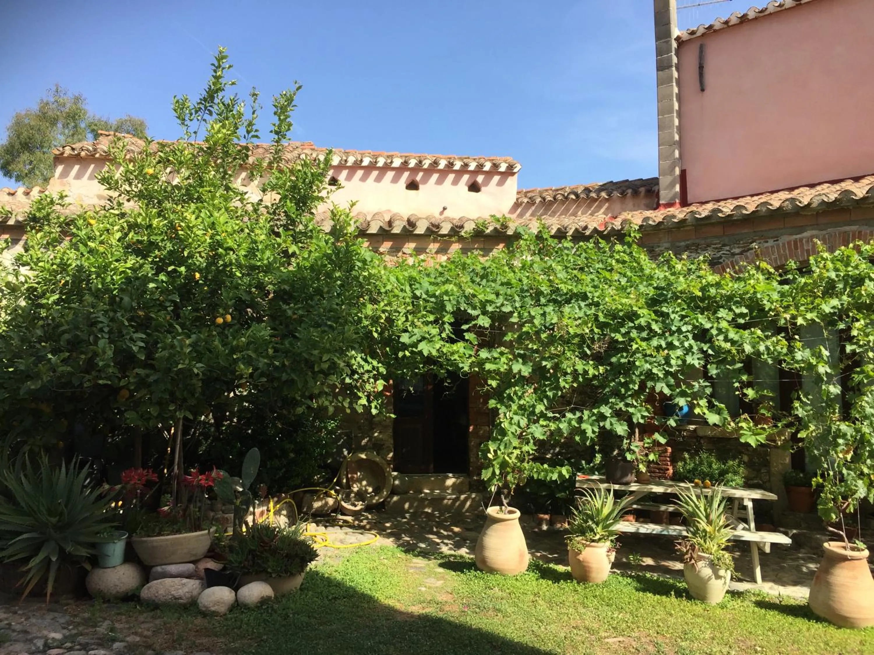 Garden in Il Portico Guesthouse