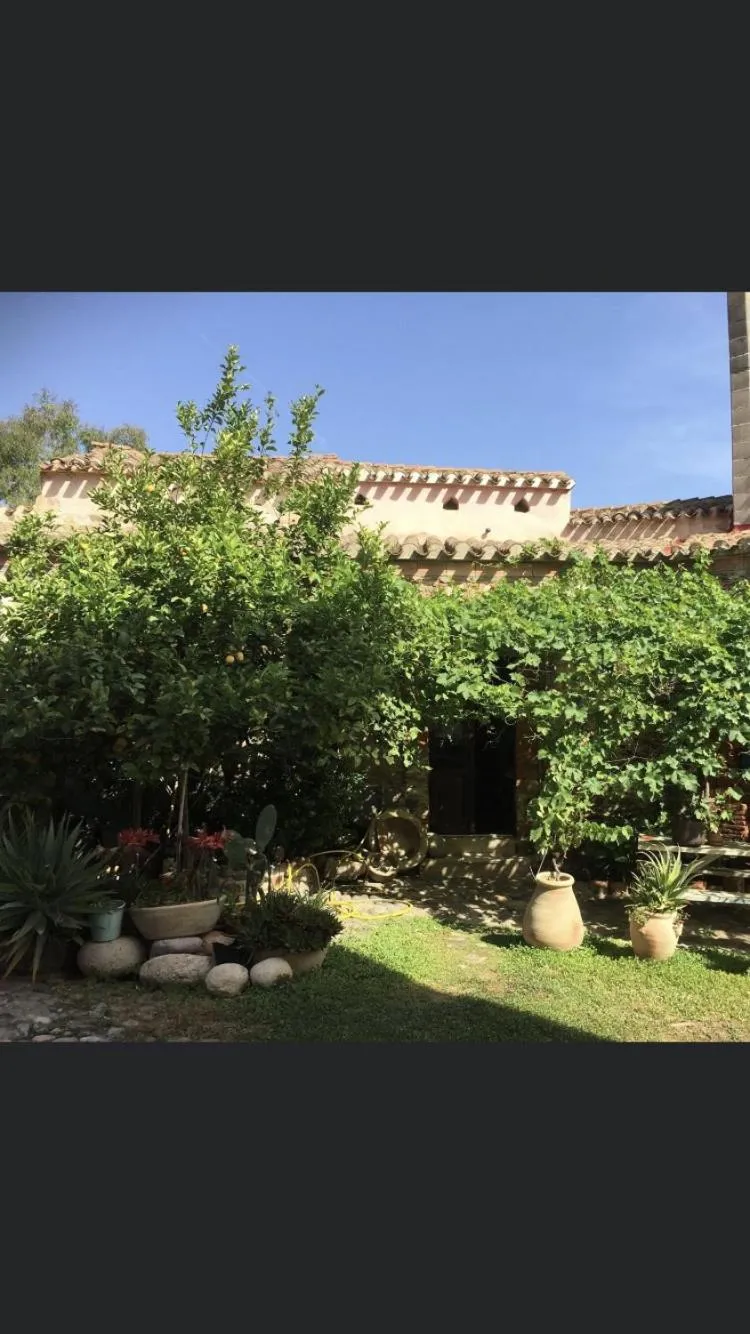Garden view in Il Portico Guesthouse