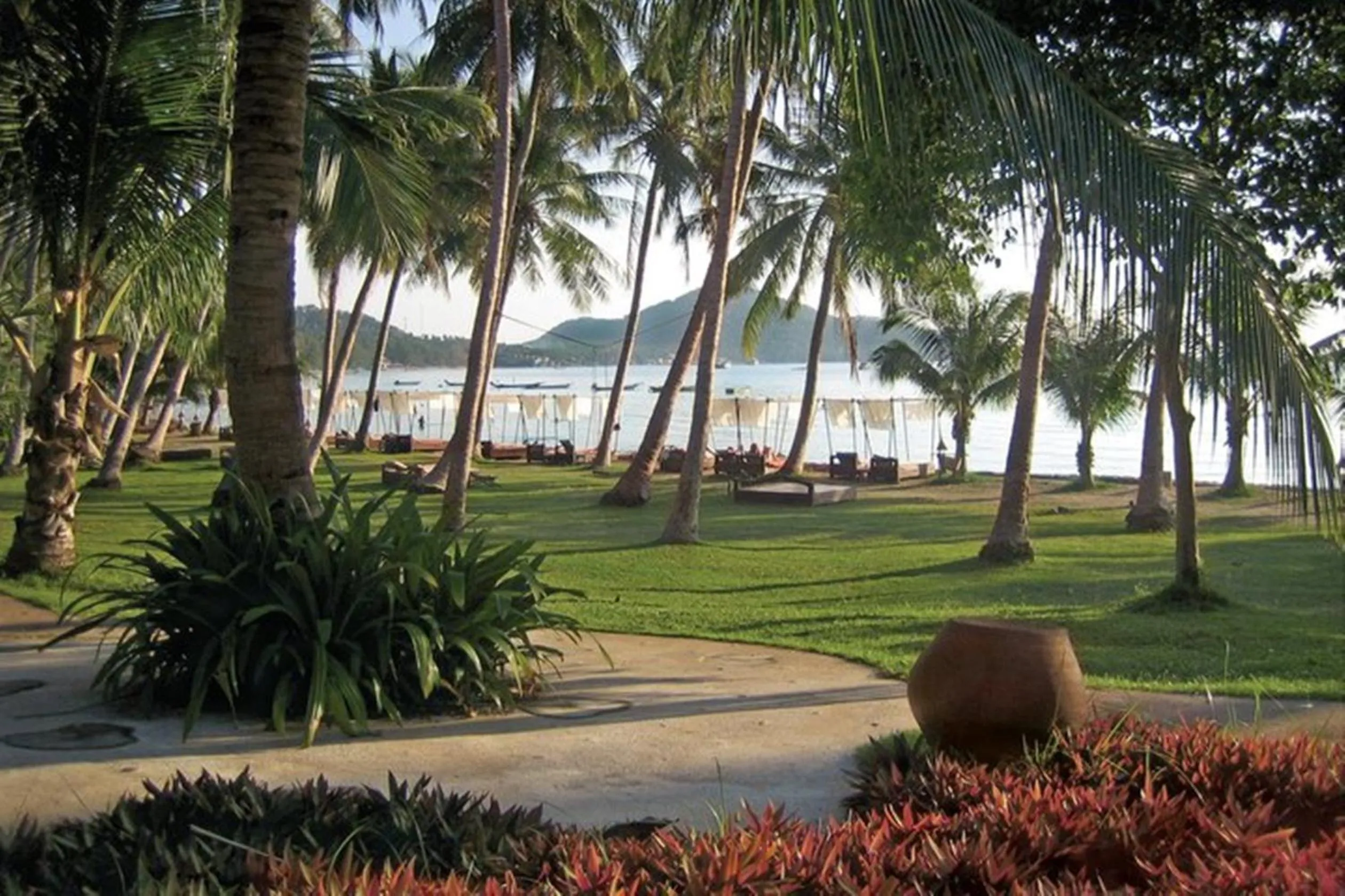 Garden in Koh Tao Cabana
