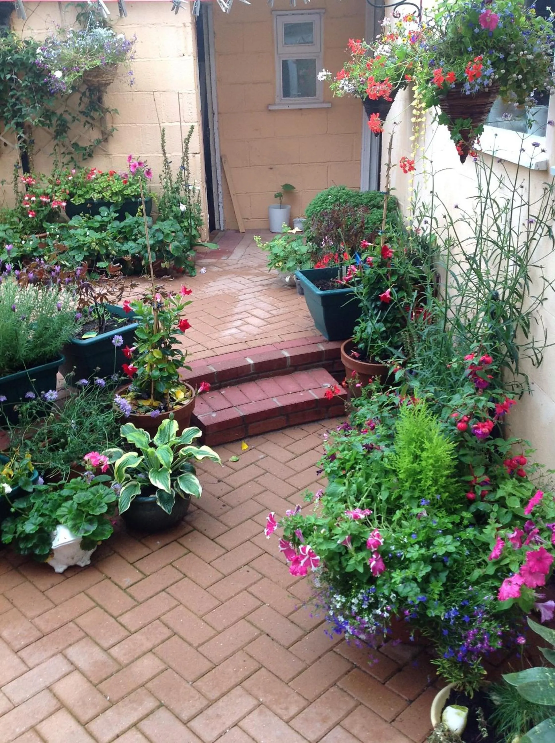 Garden in The Swallow Hotel