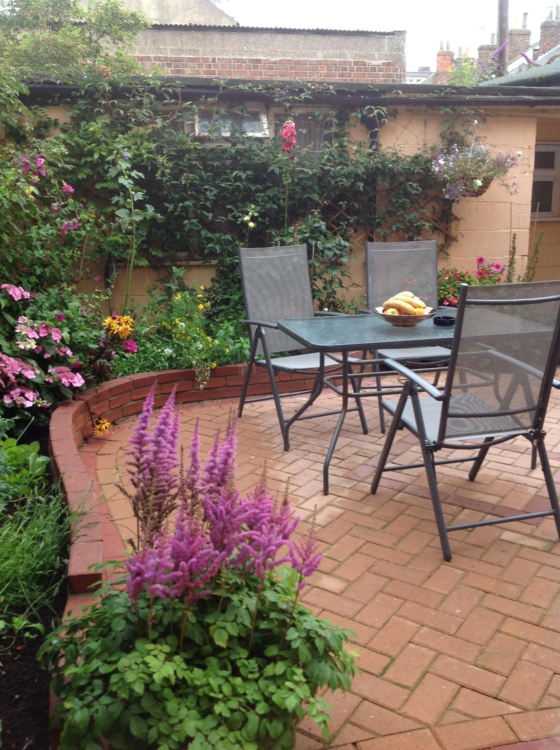 Garden in The Swallow Hotel