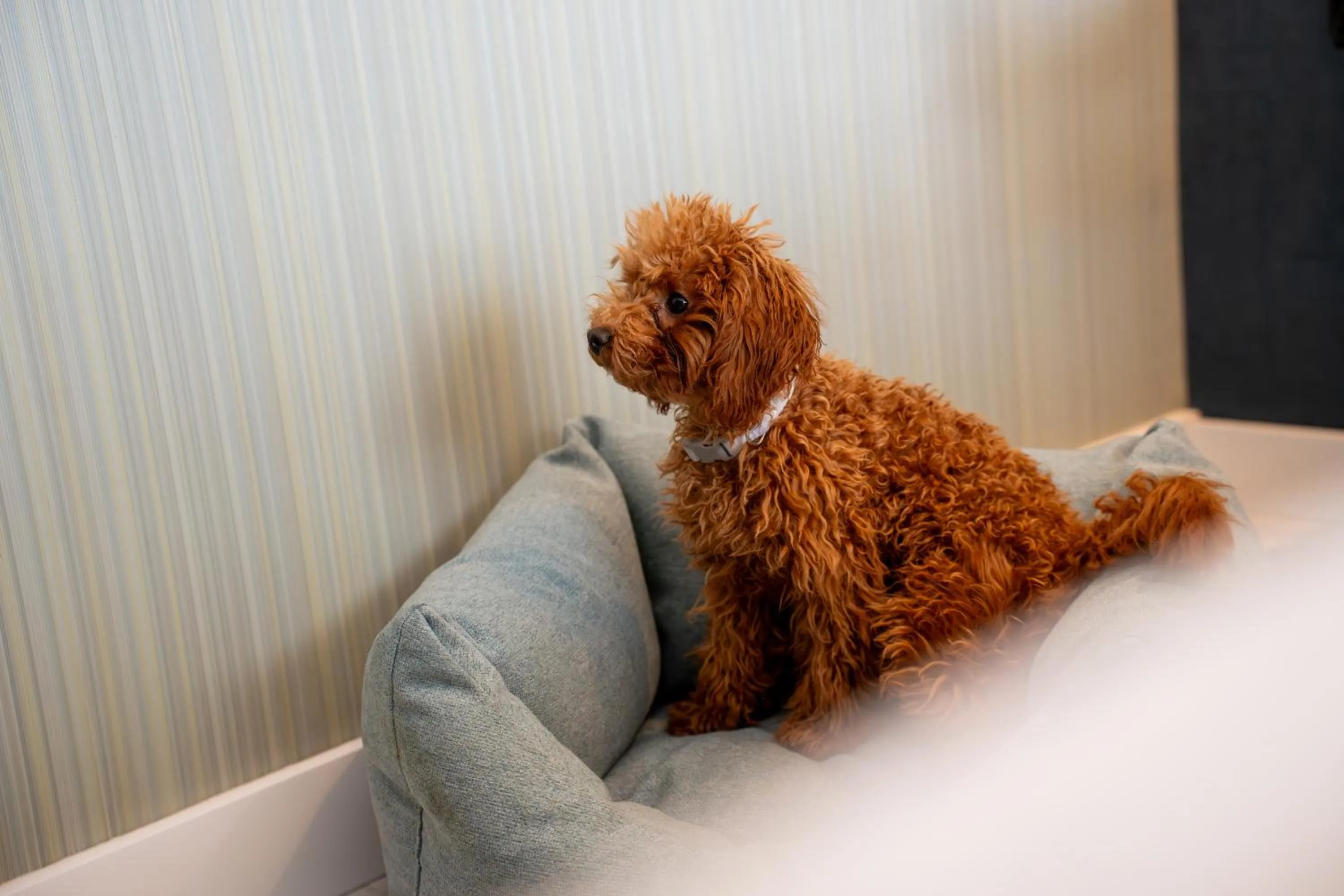 Hotel Málaga Nostrum Airport