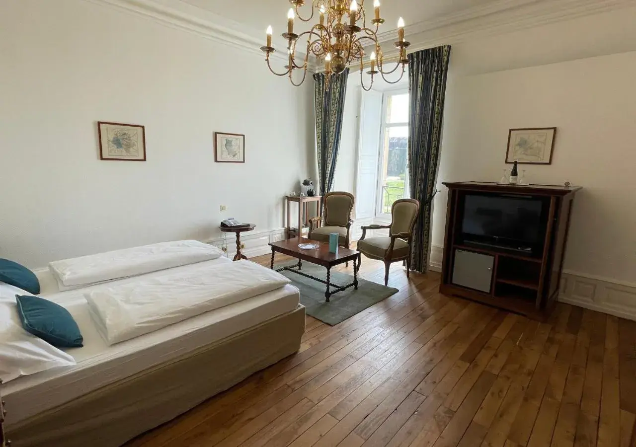 Superior Double or Twin Room in Hapimag Château de Chabenet Superior Double or Twin Room in Hapimag Château de Chabenet
