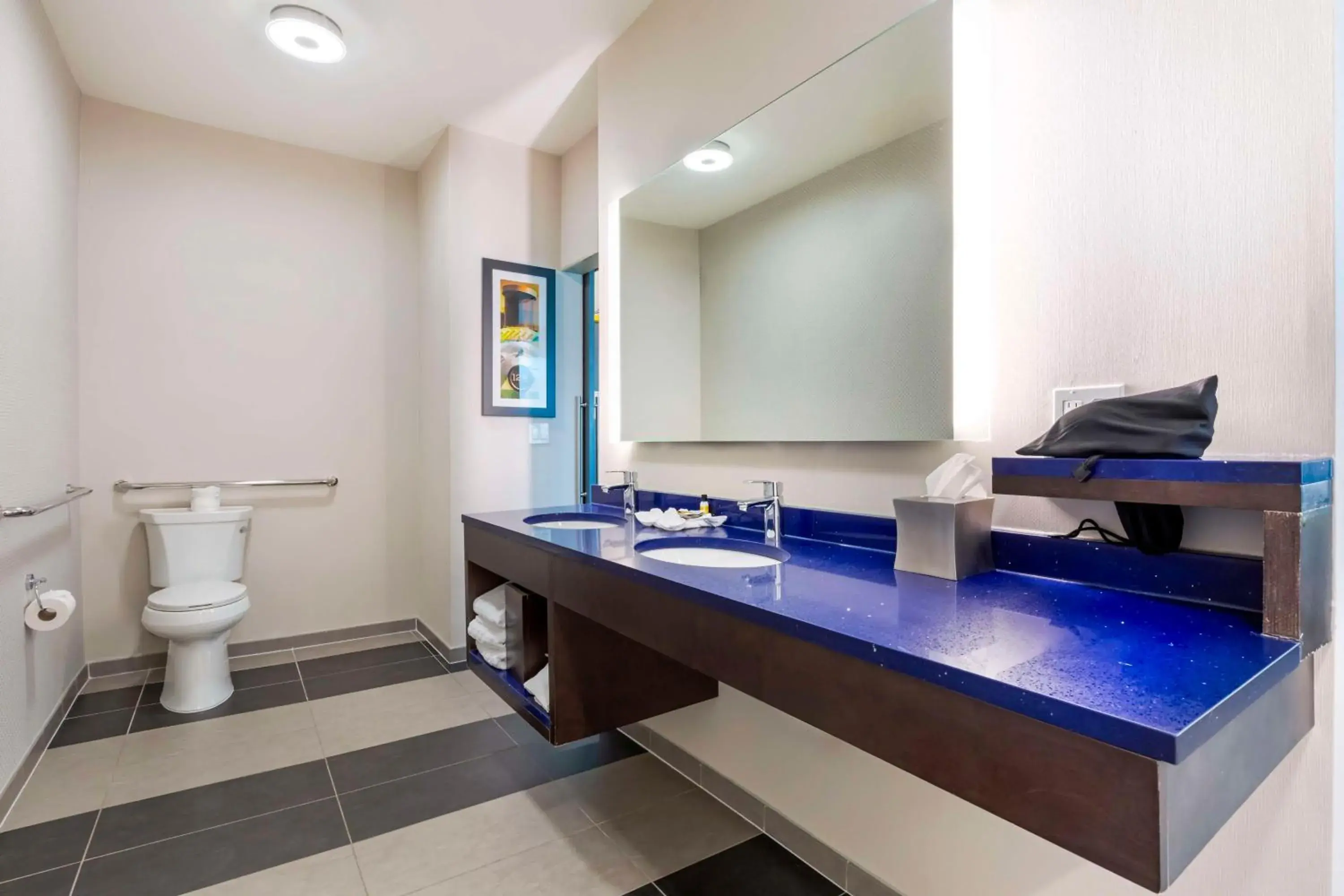 King Room with Walk-In Shower - Mobility Access in GLō Best Western Dallas South DeSoto King Room with Walk-In Shower - Mobility Access in GLō Best Western Dallas South DeSoto